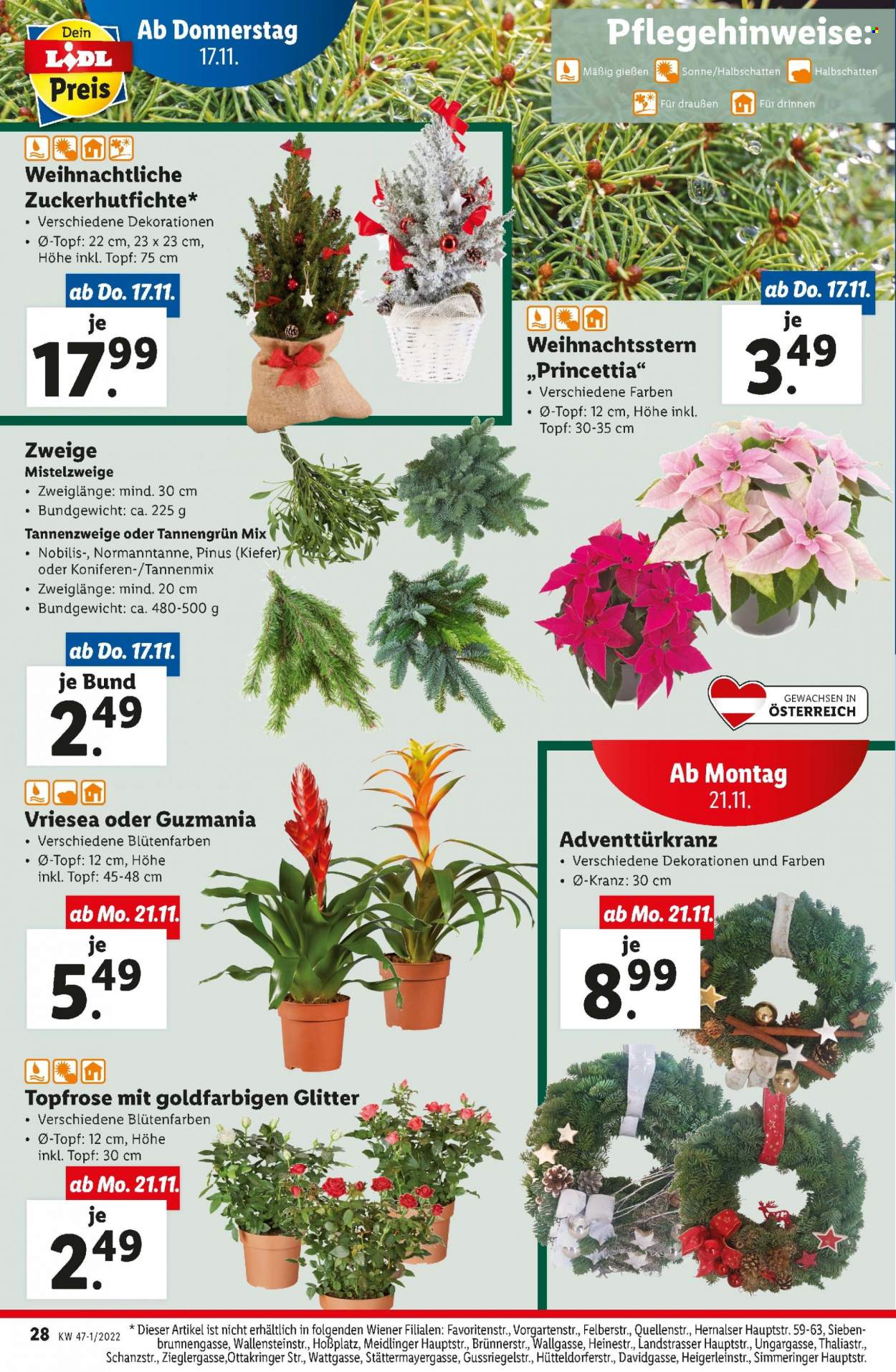 Angebote Lidl - 17.11.2022 - 23.11.2022. Seite 28