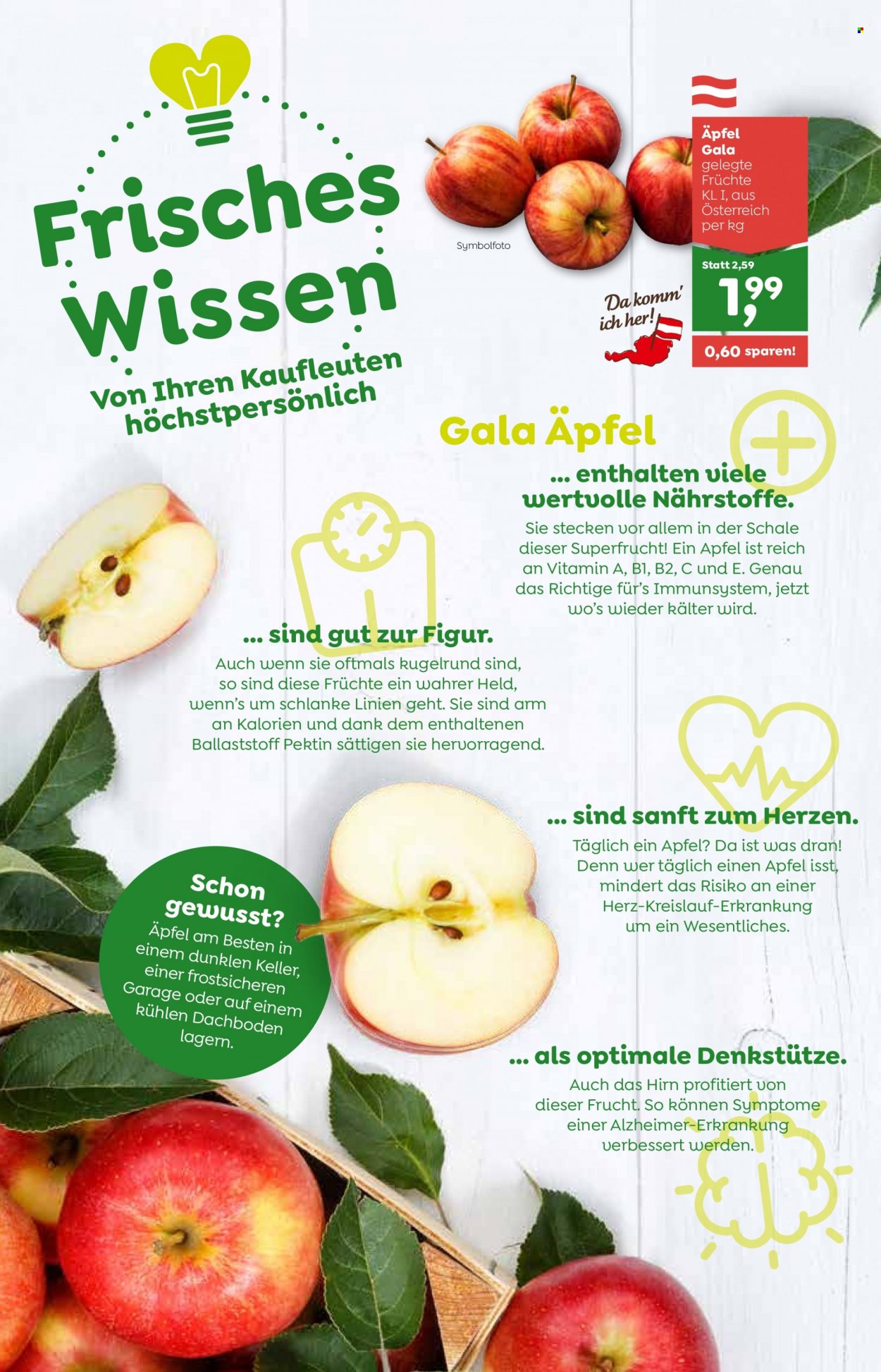 Angebote ADEG - 14.11.2022 - 19.11.2022. Seite 2
