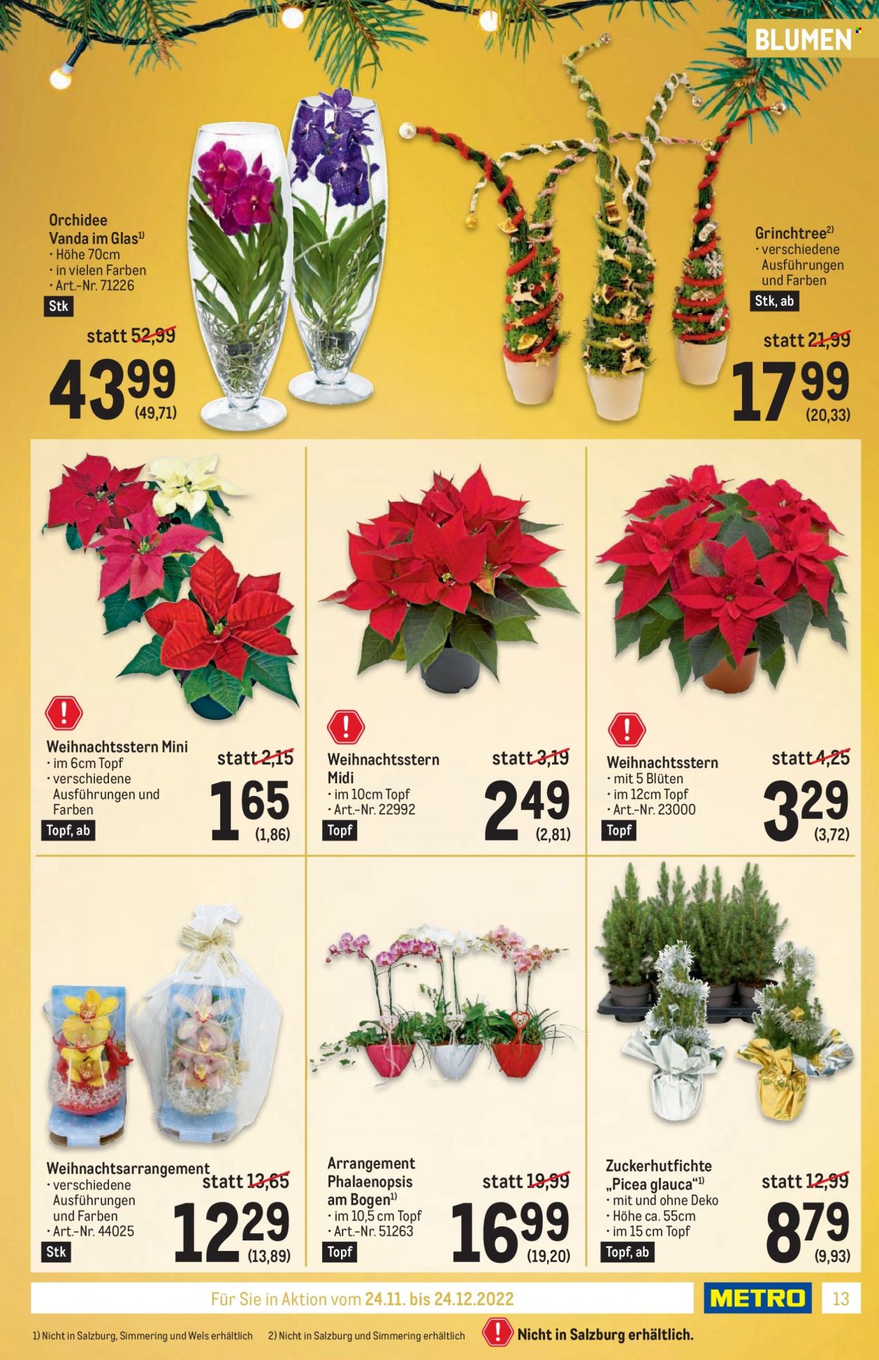 Angebote Metro - 24.11.2022 - 24.12.2022. Seite 13