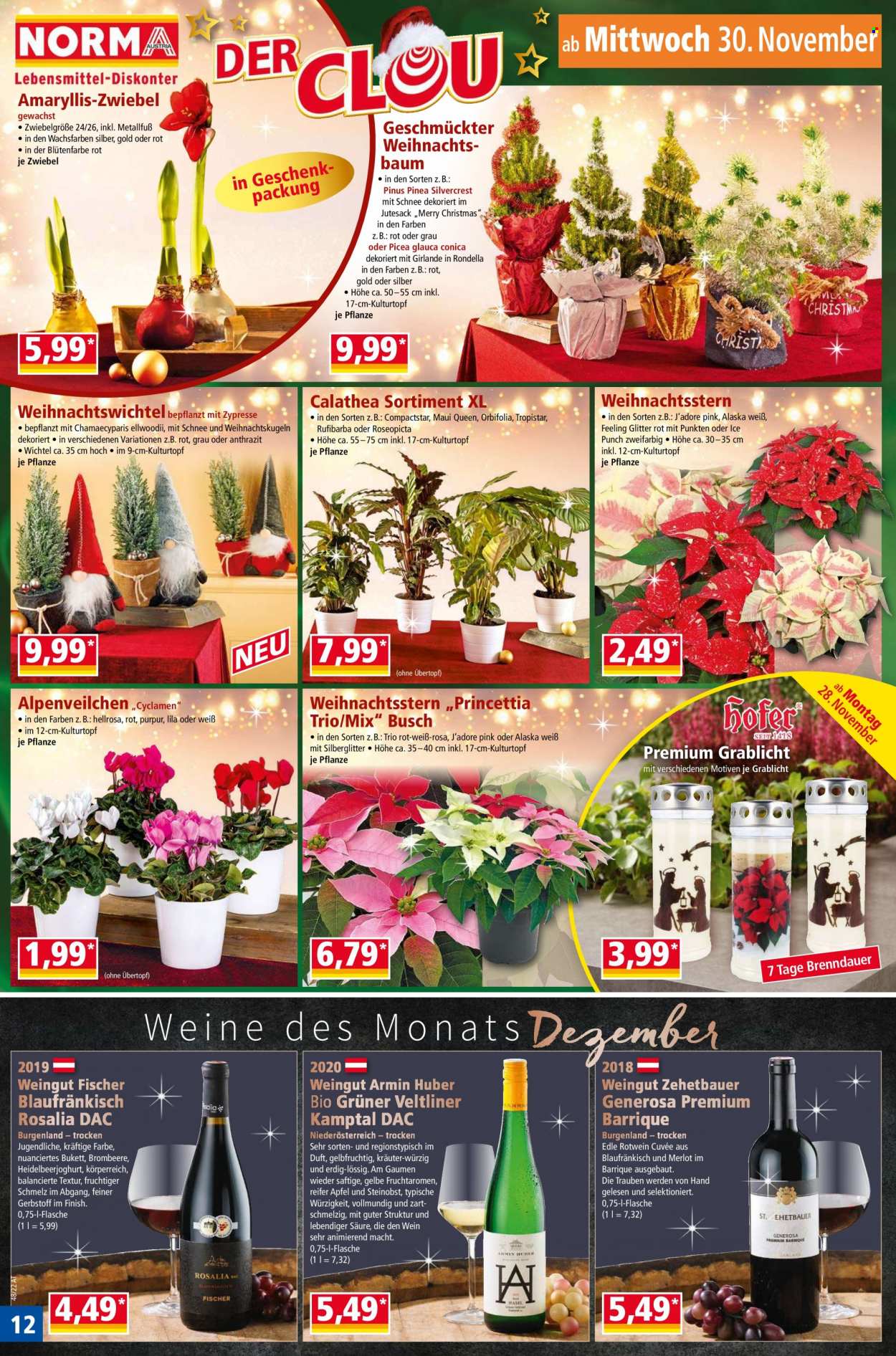 Angebote Norma - 28.11.2022 - 4.12.2022. Seite 12