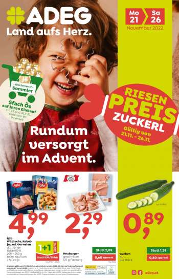 ADEG Flugblatt