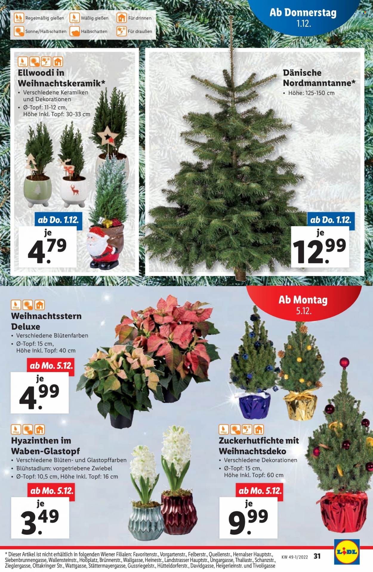Angebote Lidl - 1.12.2022 - 6.12.2022. Seite 31