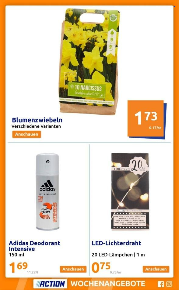 Angebote Action - 30.11.2022 - 6.12.2022. Seite 13