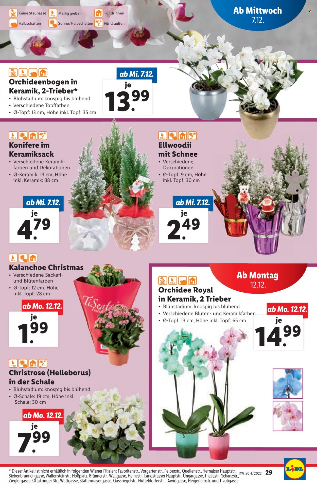 Angebote Lidl - 7.12.2022 - 14.12.2022. Seite 29