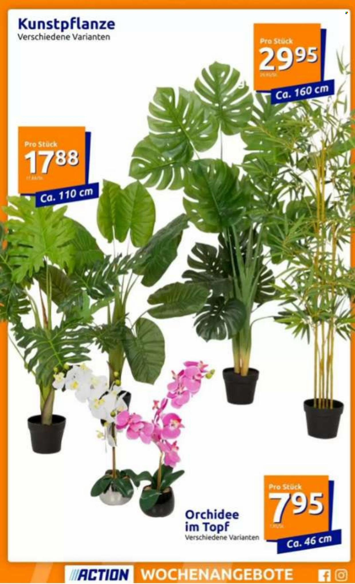 Angebote Action - 28.12.2022 - 3.1.2023. Seite 4