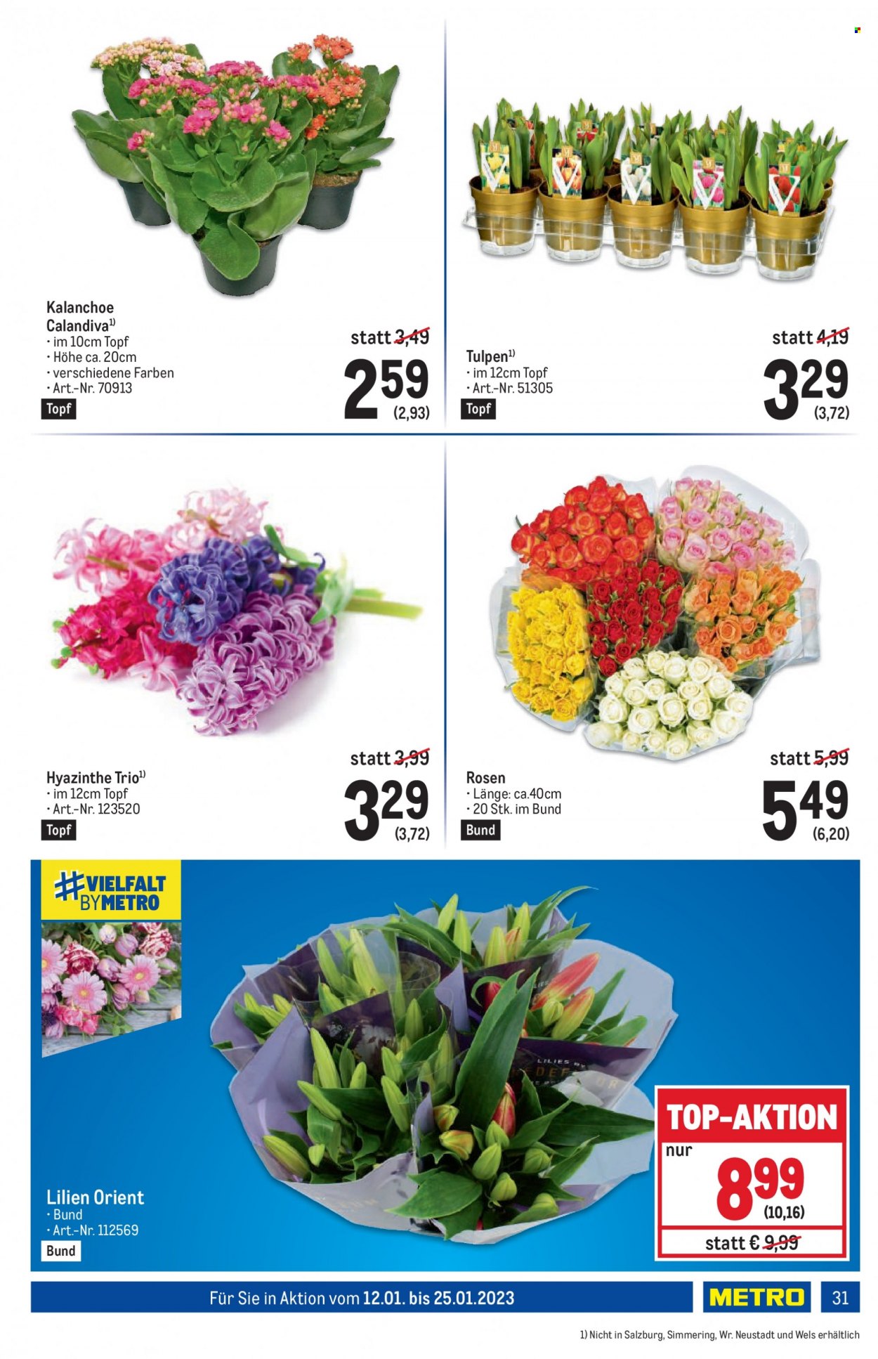 Angebote Metro - 12.1.2023 - 25.1.2023. Seite 31