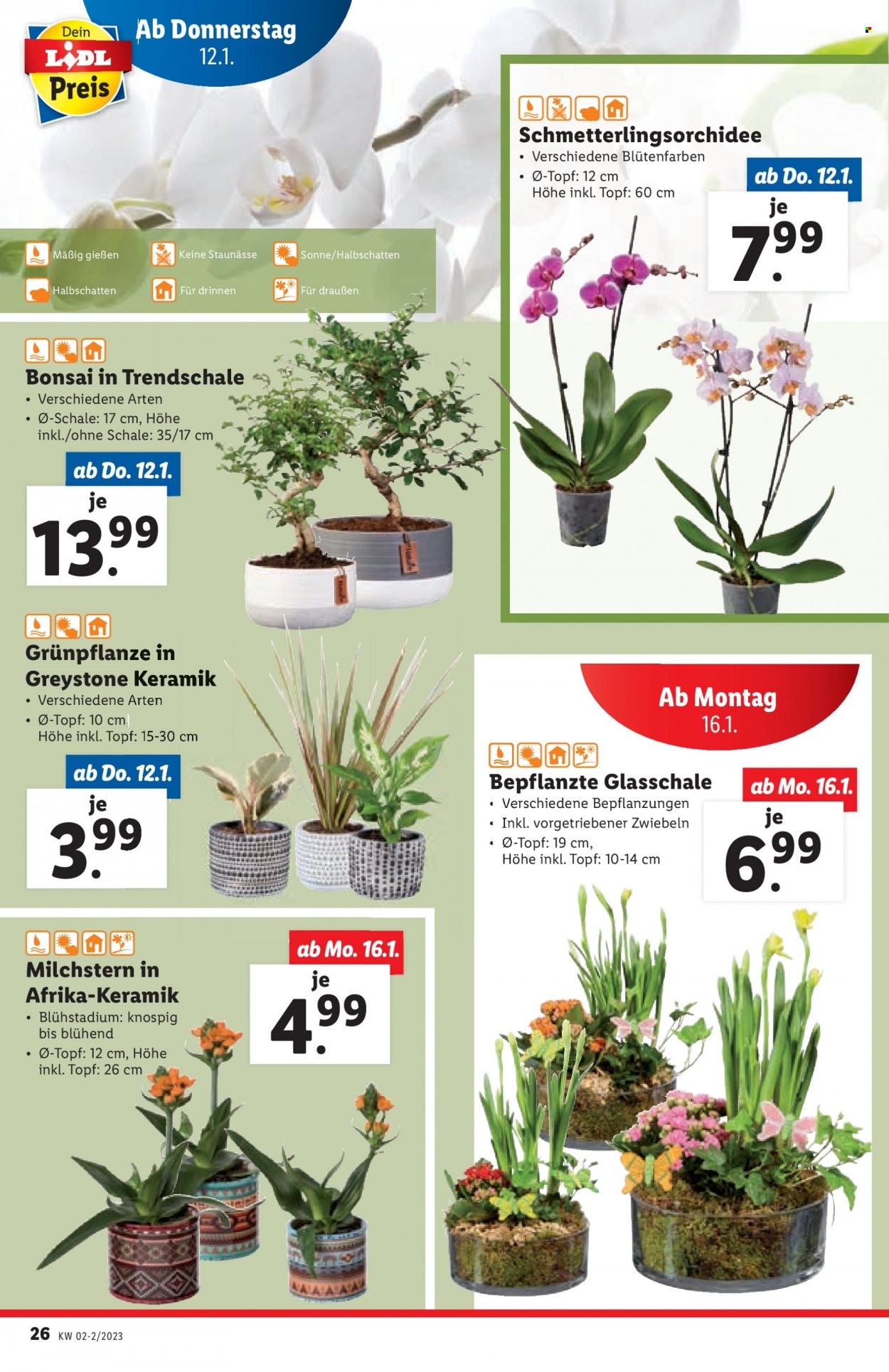 Angebote Lidl - 12.1.2023 - 18.1.2023. Seite 26