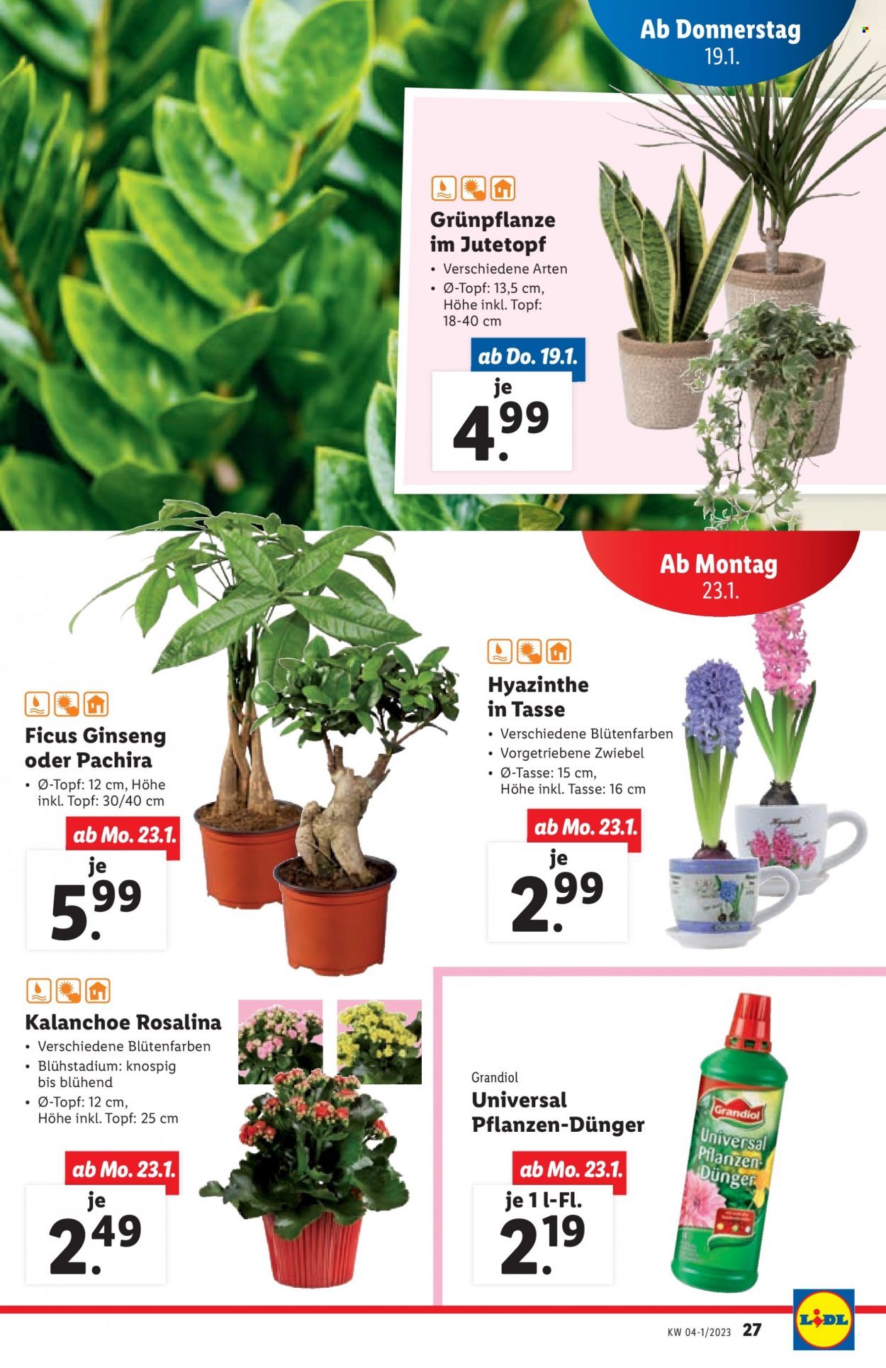 Angebote Lidl - 19.1.2023 - 25.1.2023. Seite 27