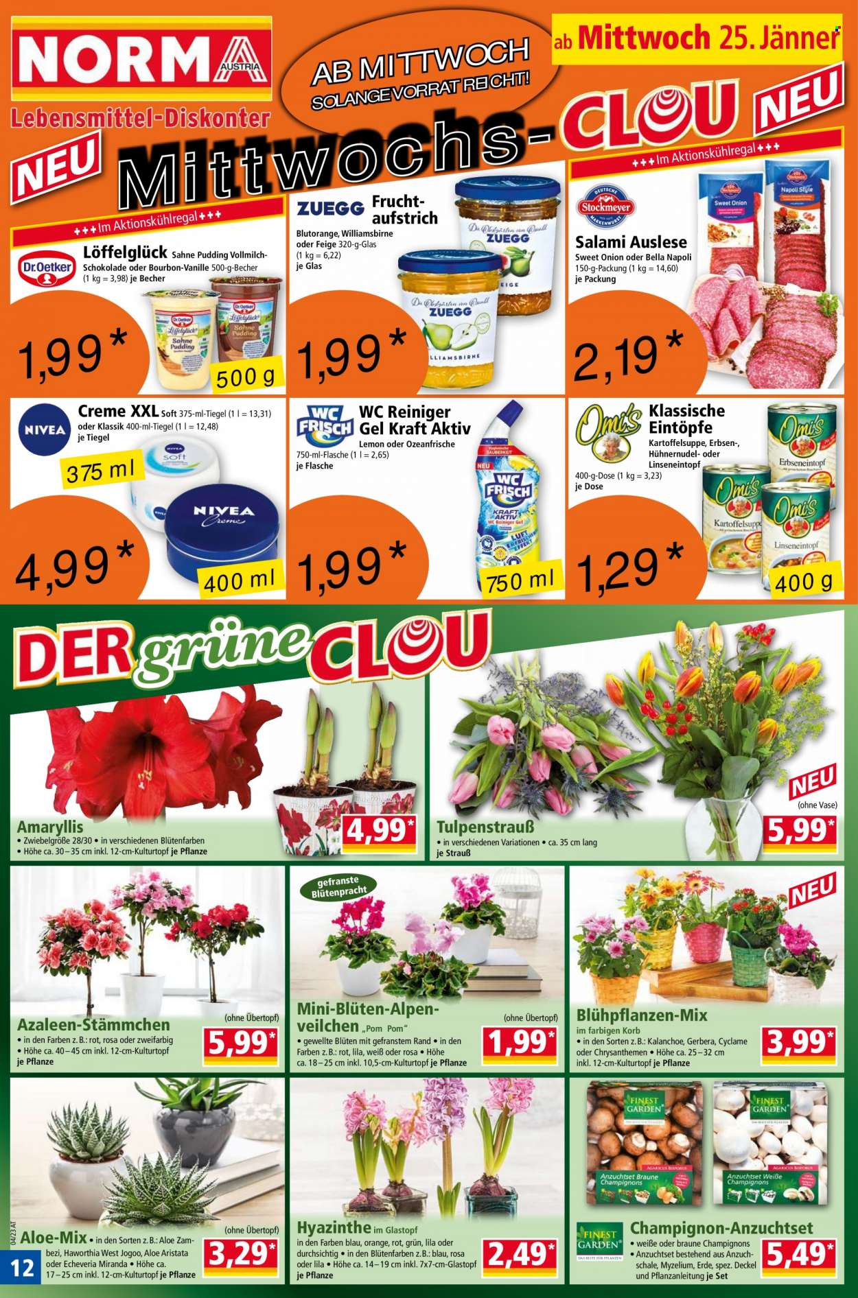 Angebote Norma - 23.1.2023 - 29.1.2023. Seite 12