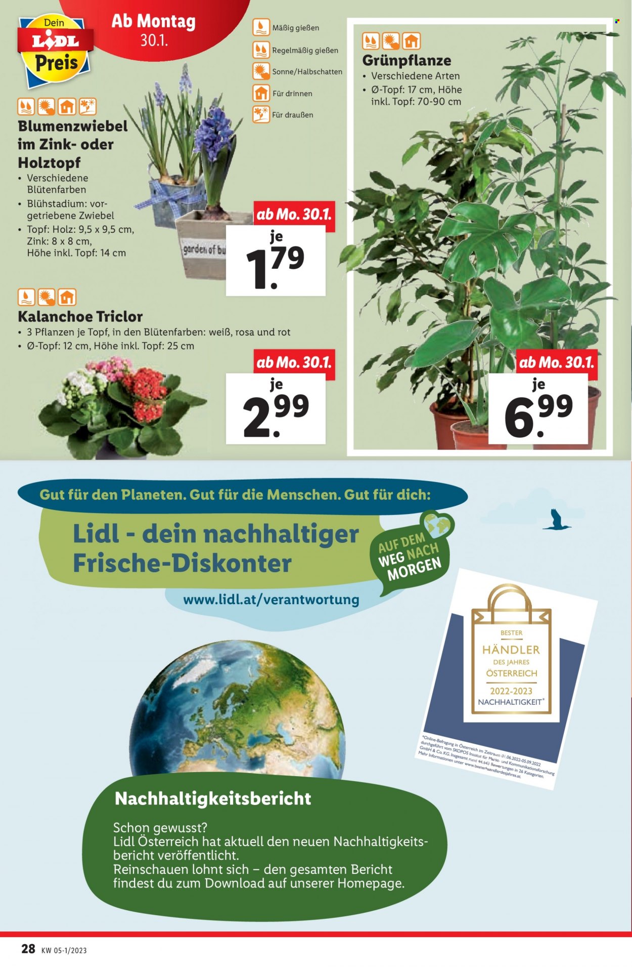 Angebote Lidl - 26.1.2023 - 1.2.2023. Seite 30