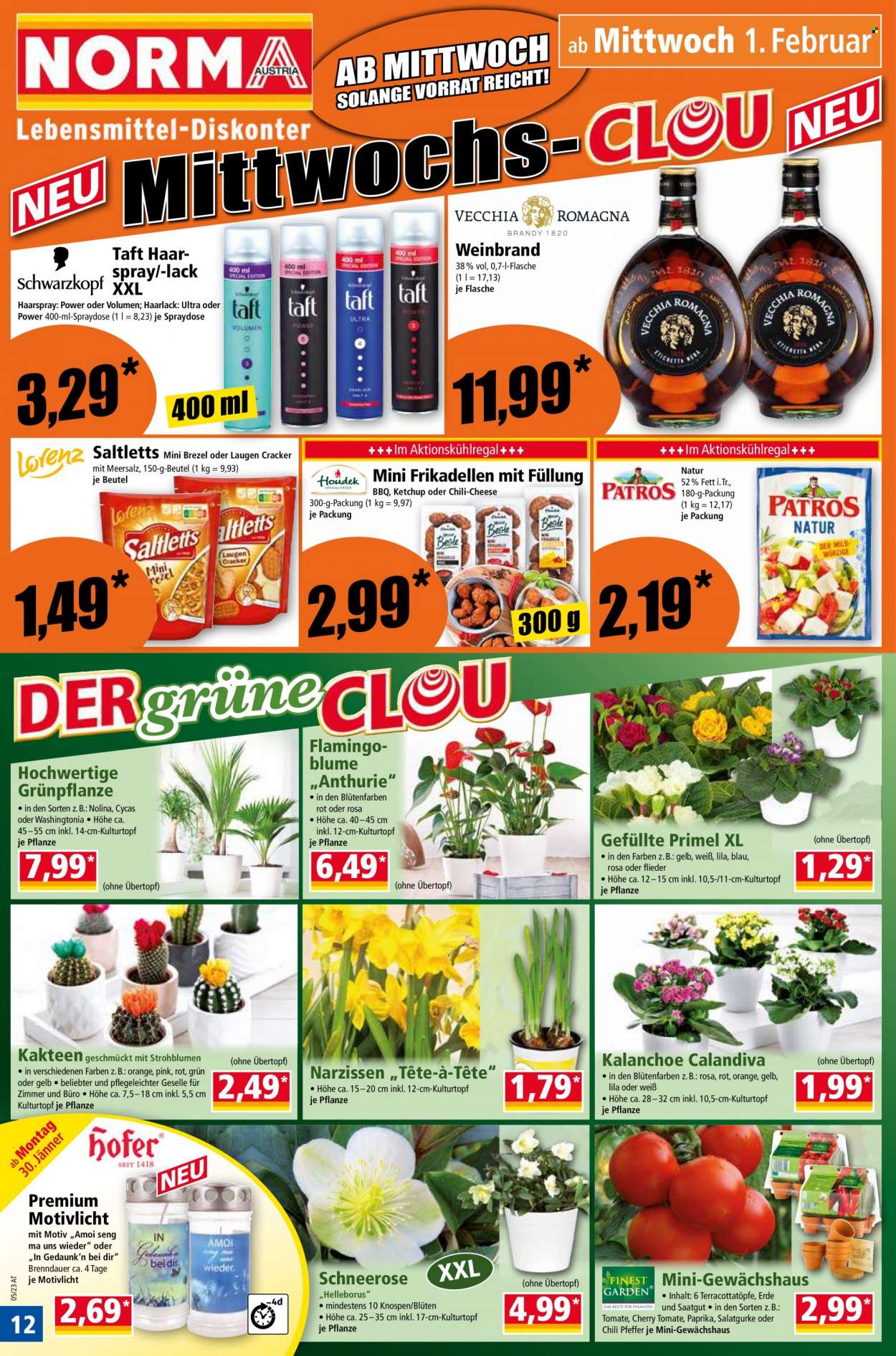 Angebote Norma - 30.1.2023 - 5.2.2023. Seite 12