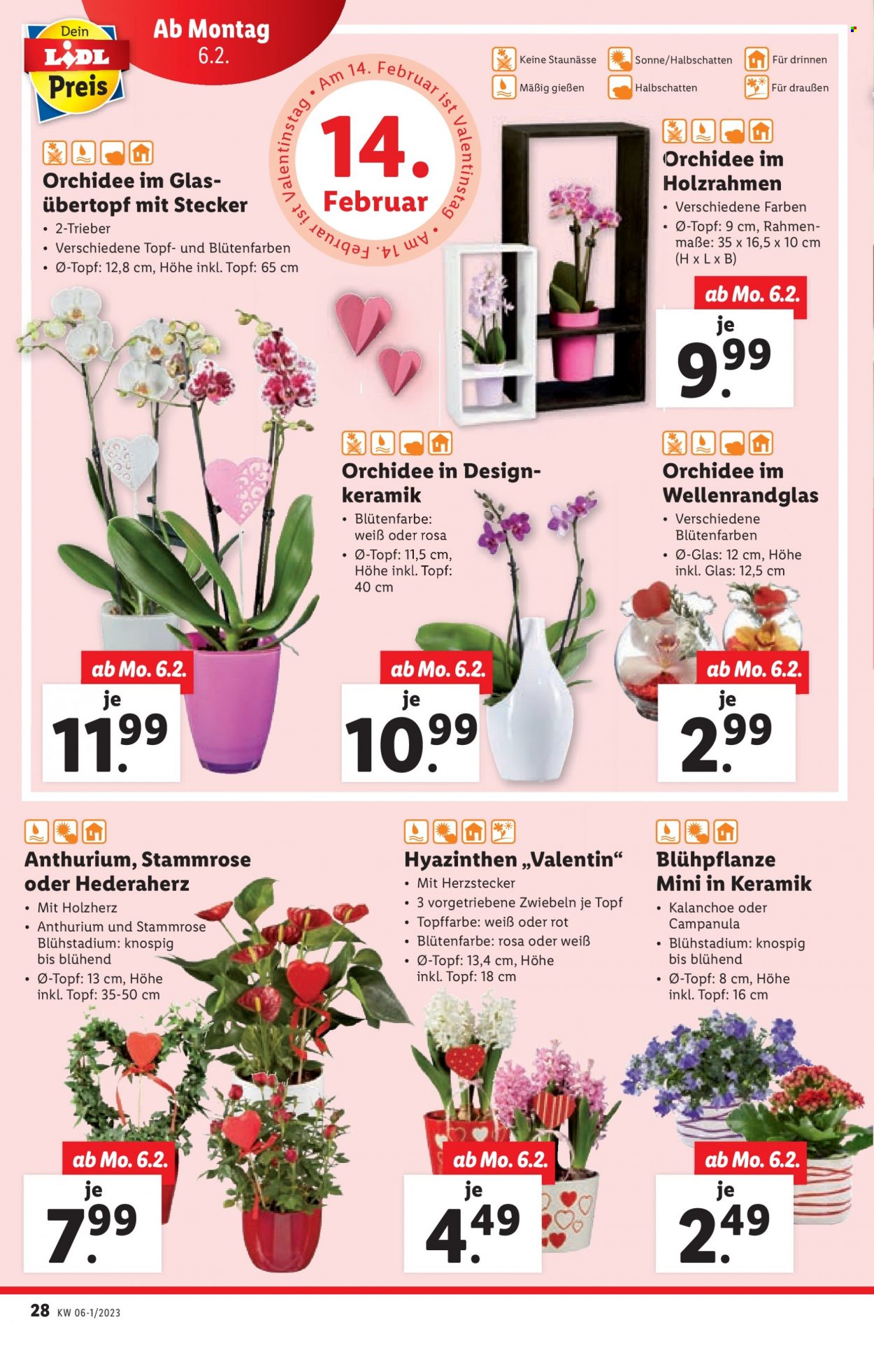 Angebote Lidl - 2.2.2023 - 8.2.2023. Seite 28
