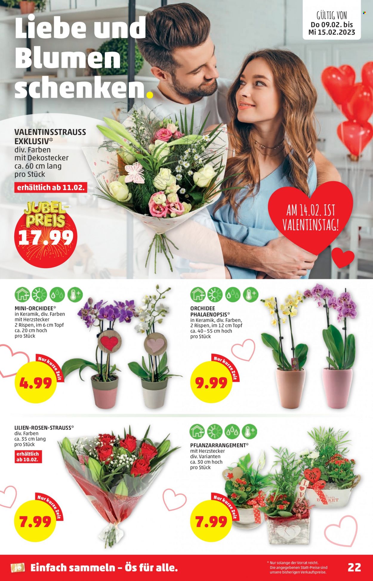 Angebote Penny - 9.2.2023 - 15.2.2023. Seite 22
