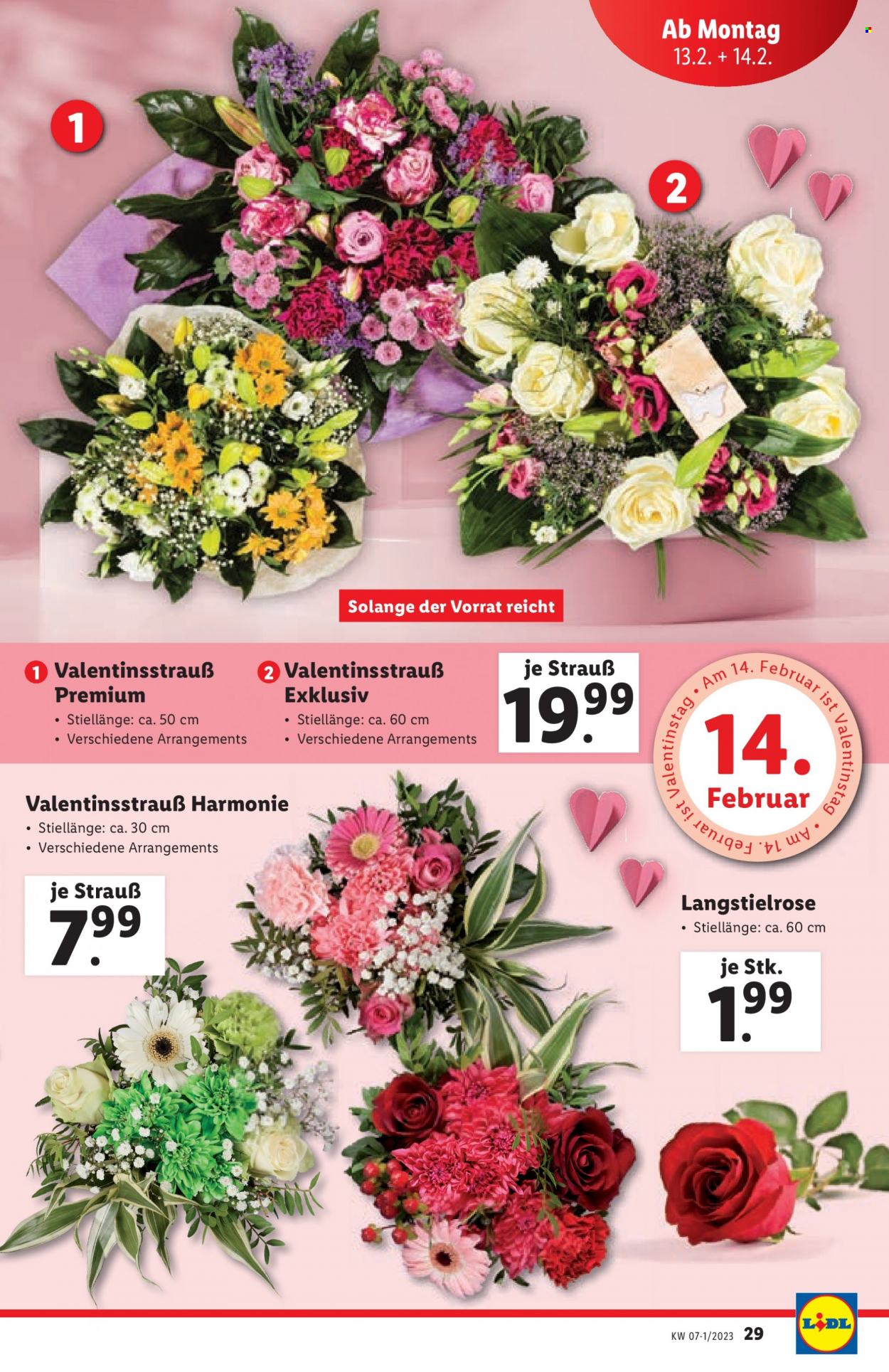 Angebote Lidl - 9.2.2023 - 15.2.2023. Seite 29