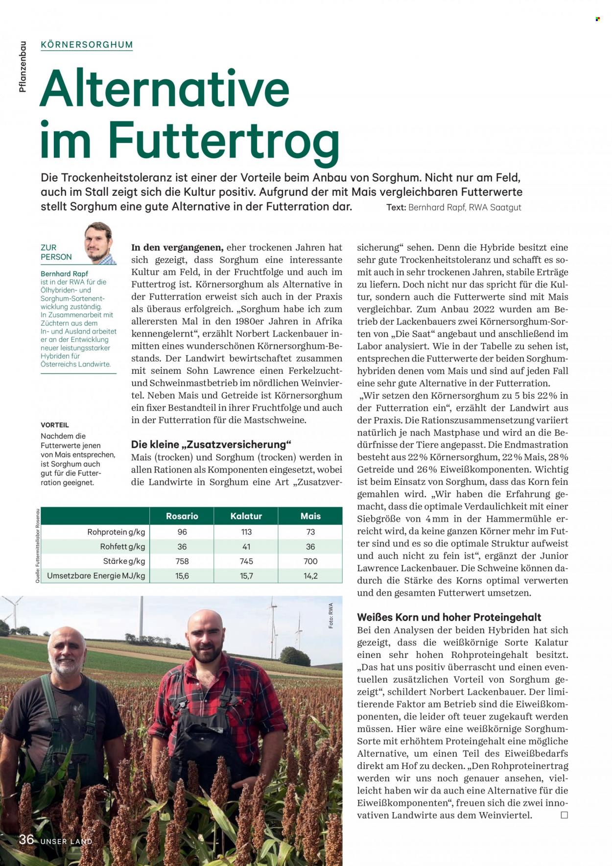 Angebote Lagerhaus - 20.2.2023 - 31.3.2023. Seite 36