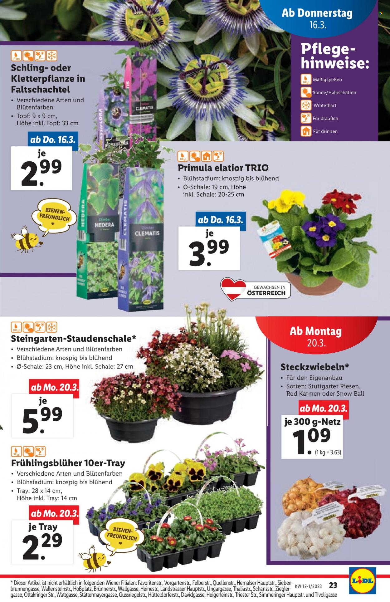 Angebote Lidl - 16.3.2023 - 22.3.2023. Seite 23
