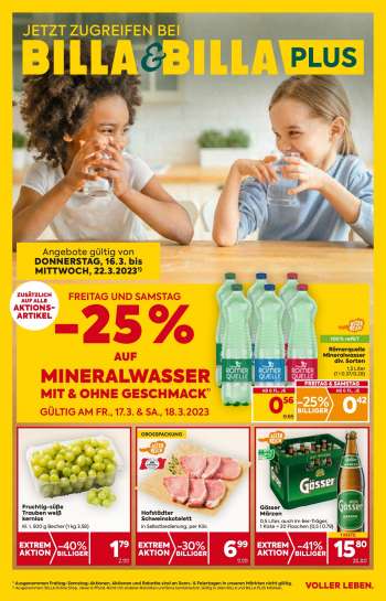 Billa Flugblatt