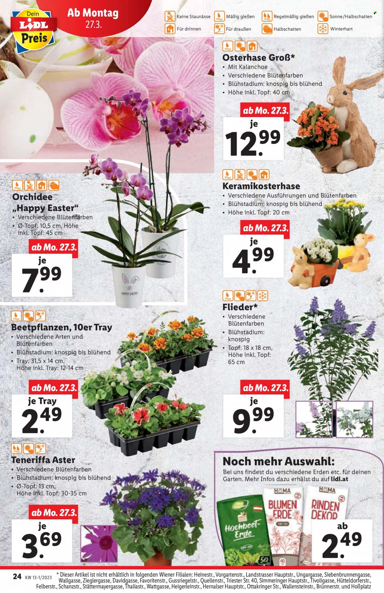 Angebote Lidl - 23.3.2023 - 29.3.2023. Seite 26