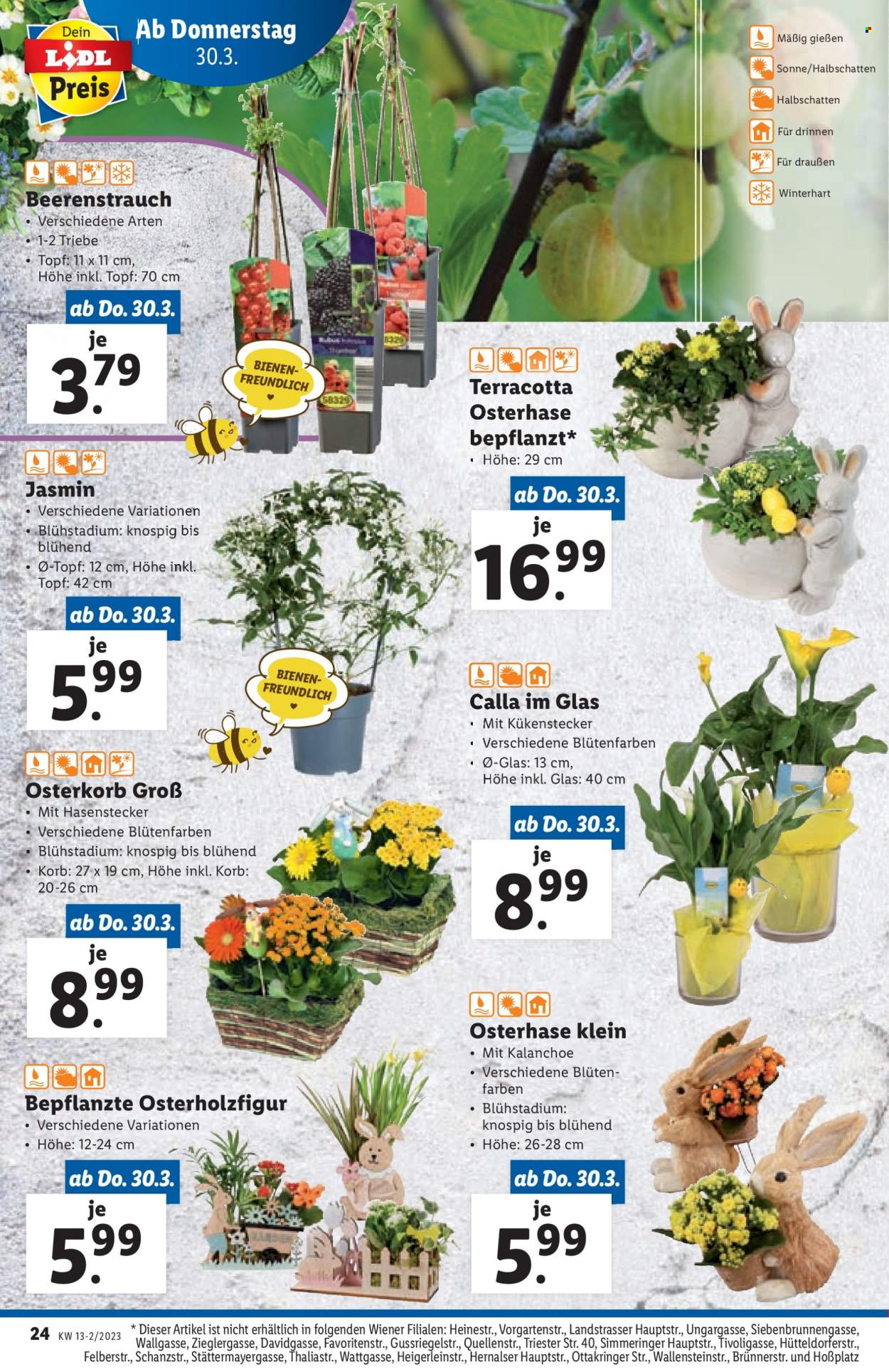 Angebote Lidl - 30.3.2023 - 5.4.2023. Seite 24