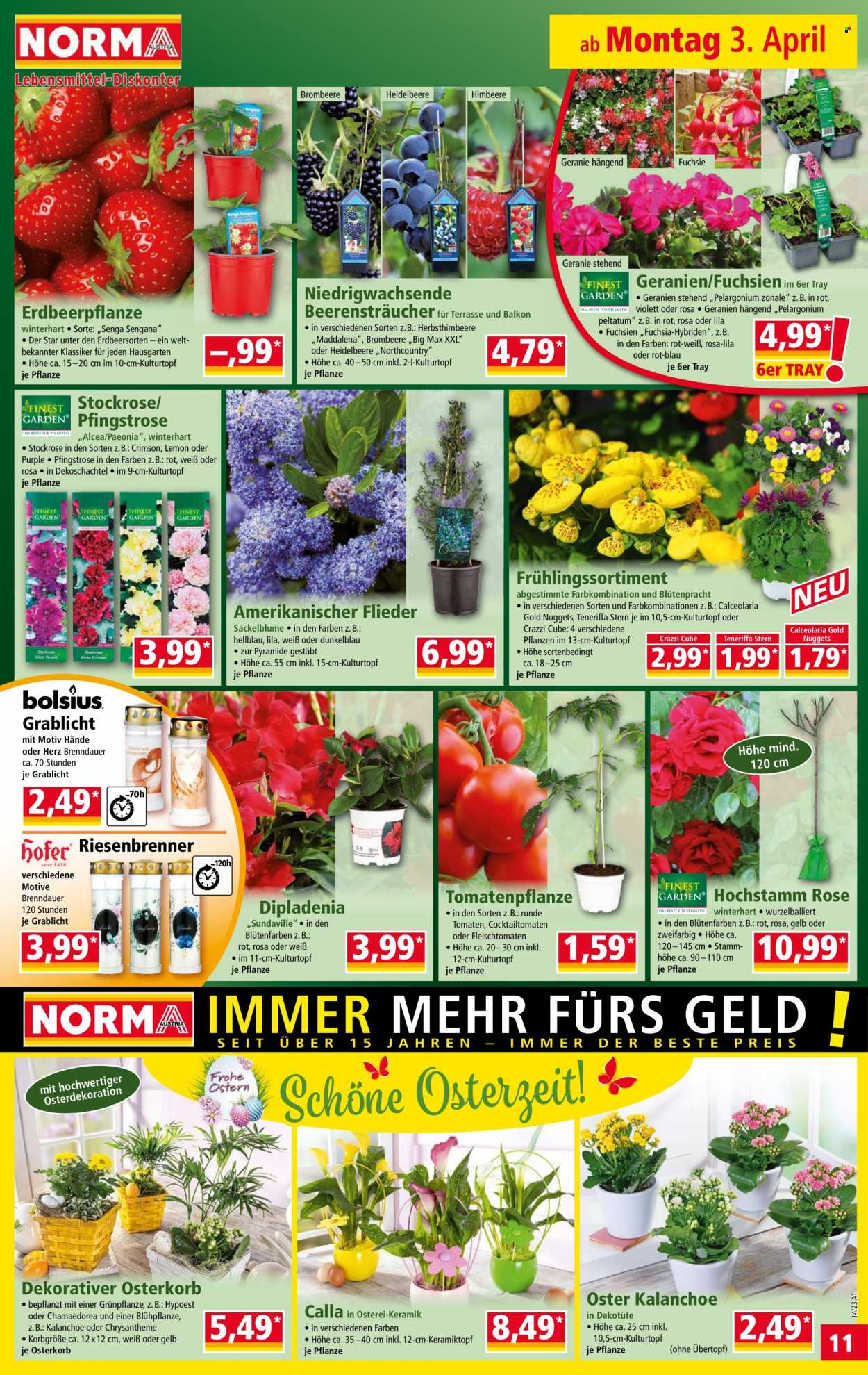 Angebote Norma - 3.4.2023 - 9.4.2023. Seite 11