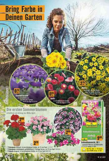 thumbnail - Gänseblümchen