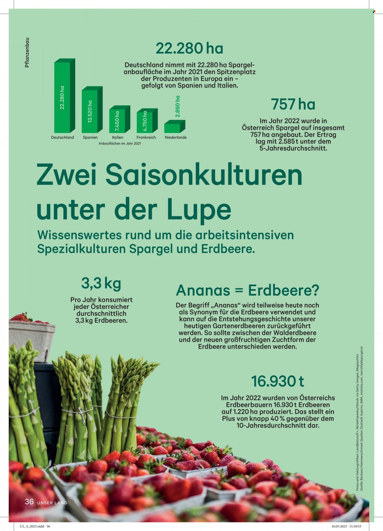 Angebote Lagerhaus - 1.4.2023 - 30.4.2023. Seite 36