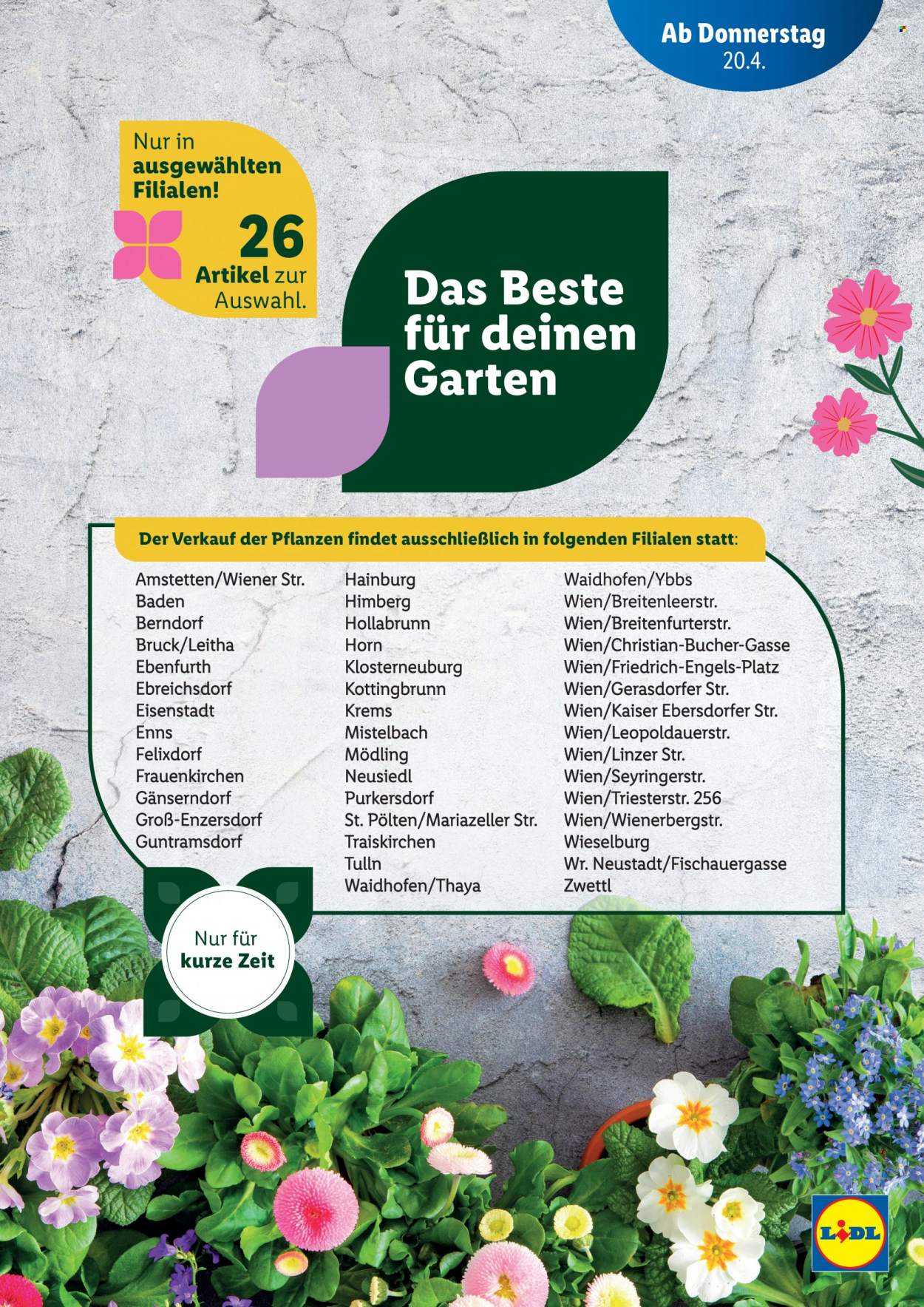 Angebote Lidl - 20.4.2023 - 30.4.2023. Seite 1