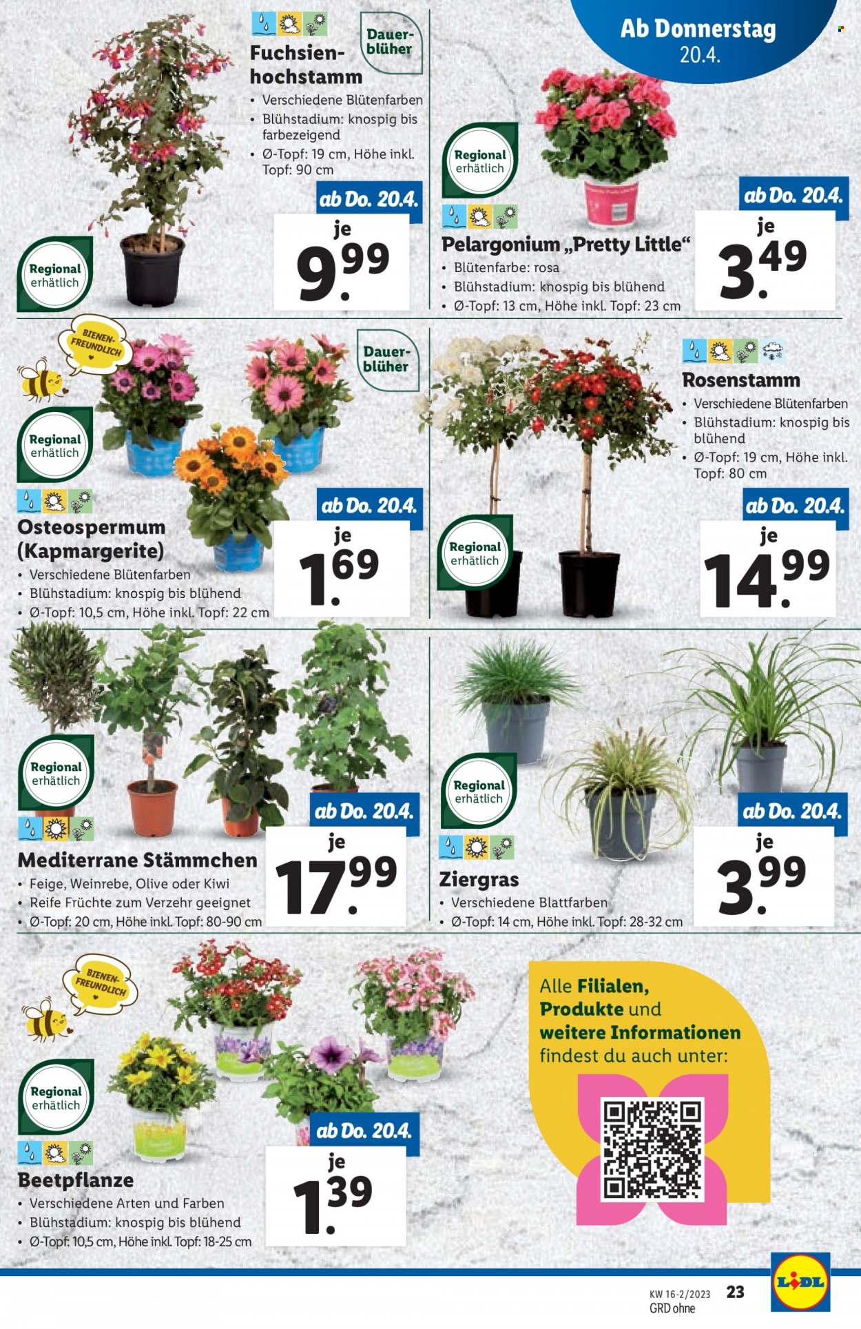 Angebote Lidl - 20.4.2023 - 26.4.2023. Seite 23