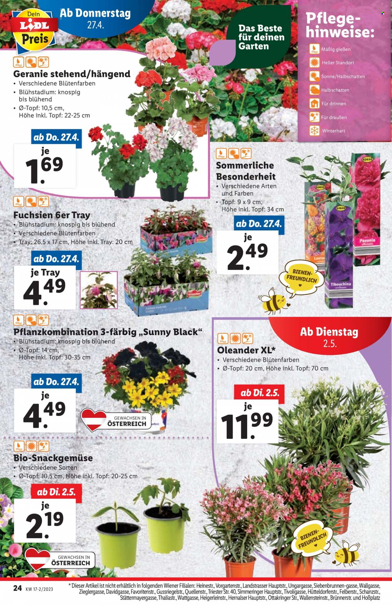 Angebote Lidl - 27.4.2023 - 3.5.2023. Seite 24