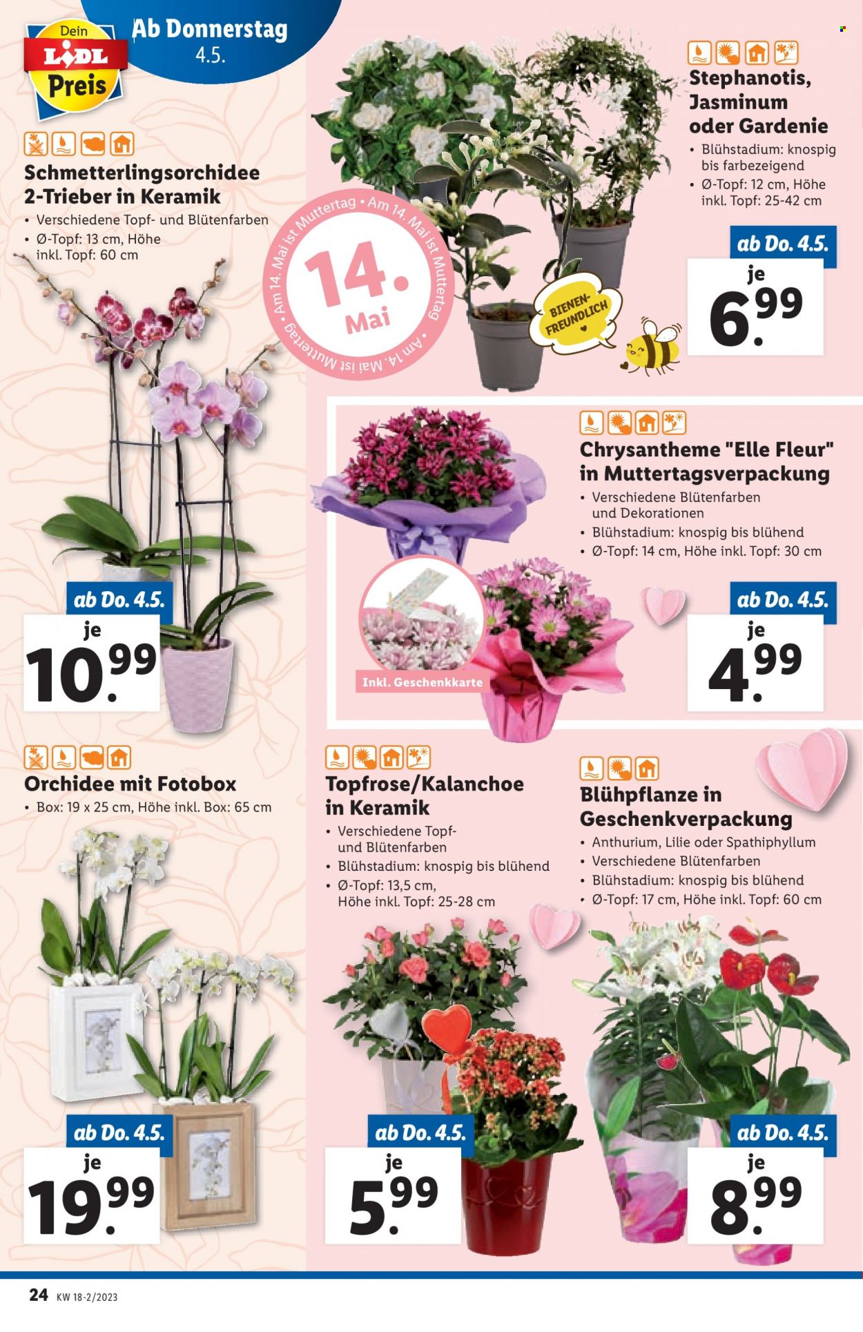 Angebote Lidl - 4.5.2023 - 10.5.2023. Seite 24