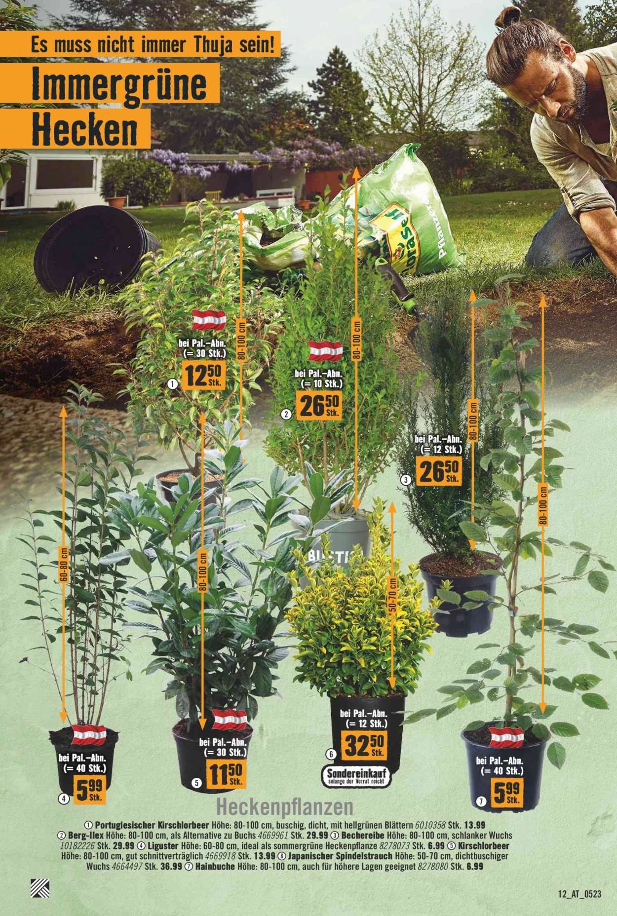 Angebote Hornbach - 3.5.2023 - 17.5.2023. Seite 12