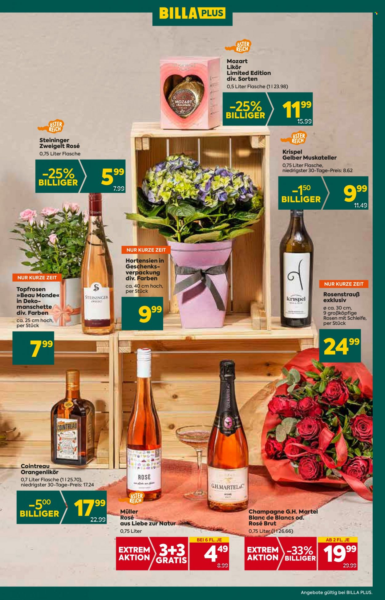 Angebote Billa Plus - 11.5.2023 - 16.5.2023. Seite 9