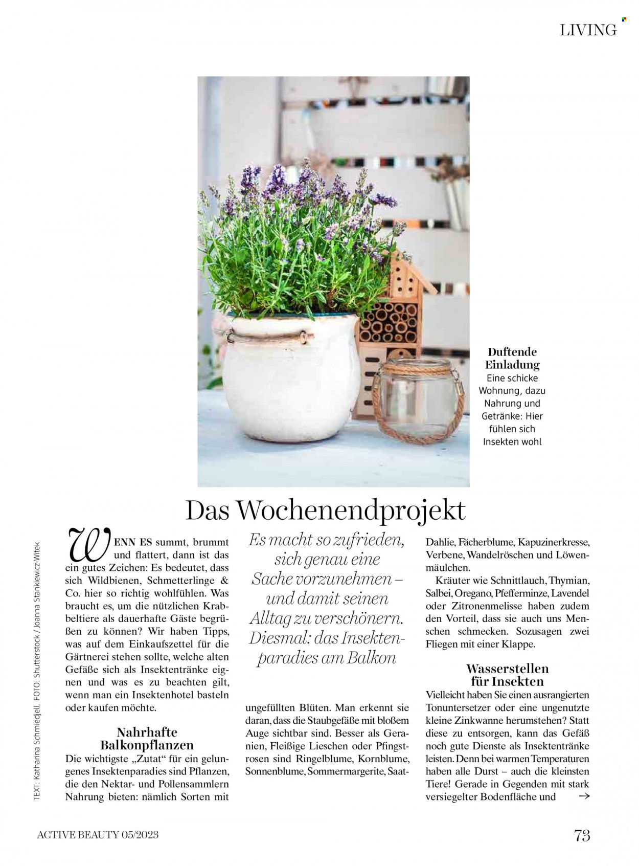 Angebote dm drogerie - 15.5.2023 - 31.5.2023. Seite 73