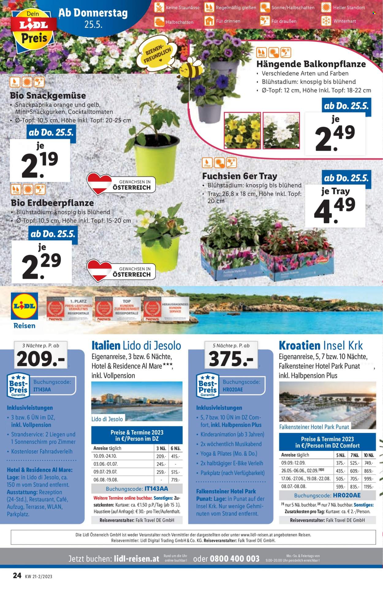 Angebote Lidl - 25.5.2023 - 31.5.2023. Seite 24