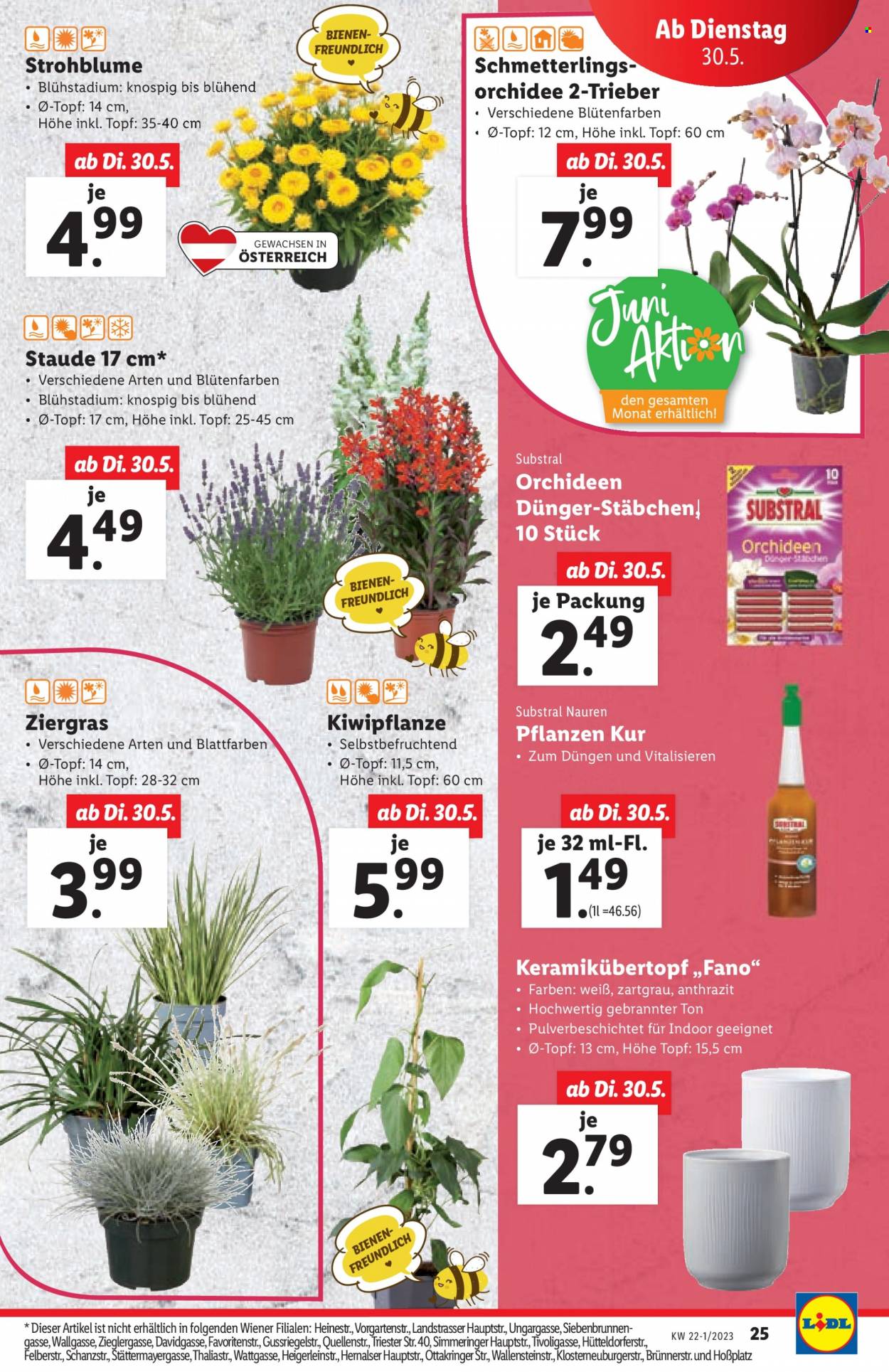 Angebote Lidl - 25.5.2023 - 31.5.2023. Seite 25