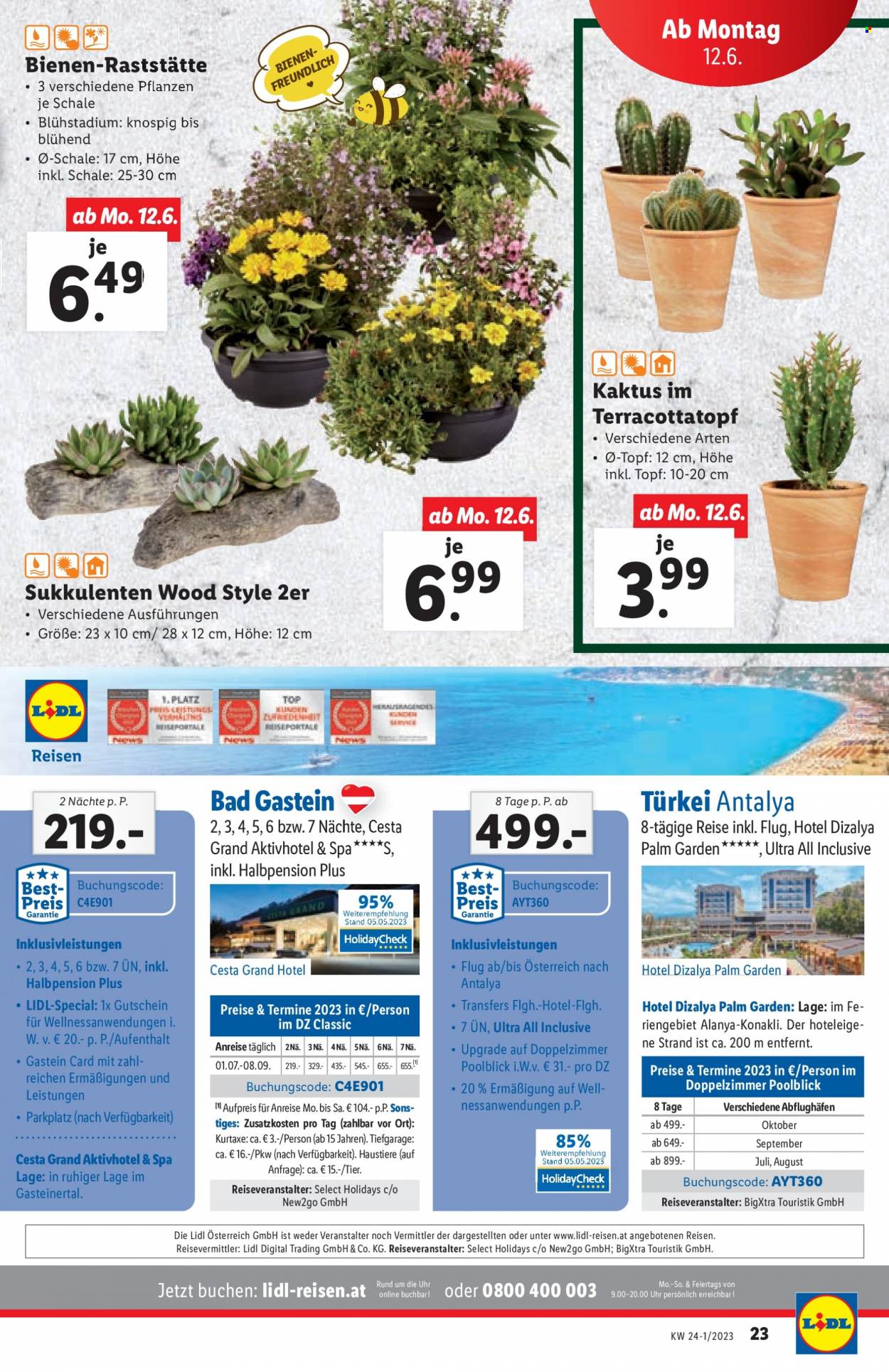 Angebote Lidl - 7.6.2023 - 14.6.2023. Seite 23