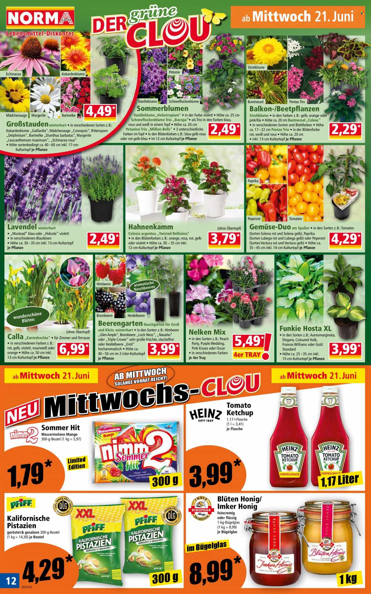 Angebote Norma - 19.6.2023 - 25.6.2023. Seite 12