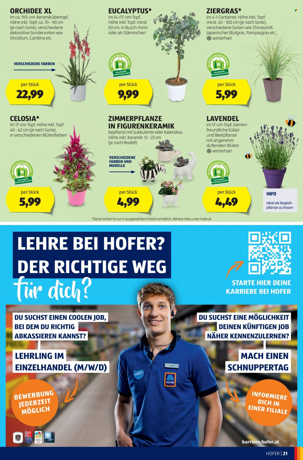 Angebote Hofer - 16.6.2023 - 22.6.2023. Seite 23