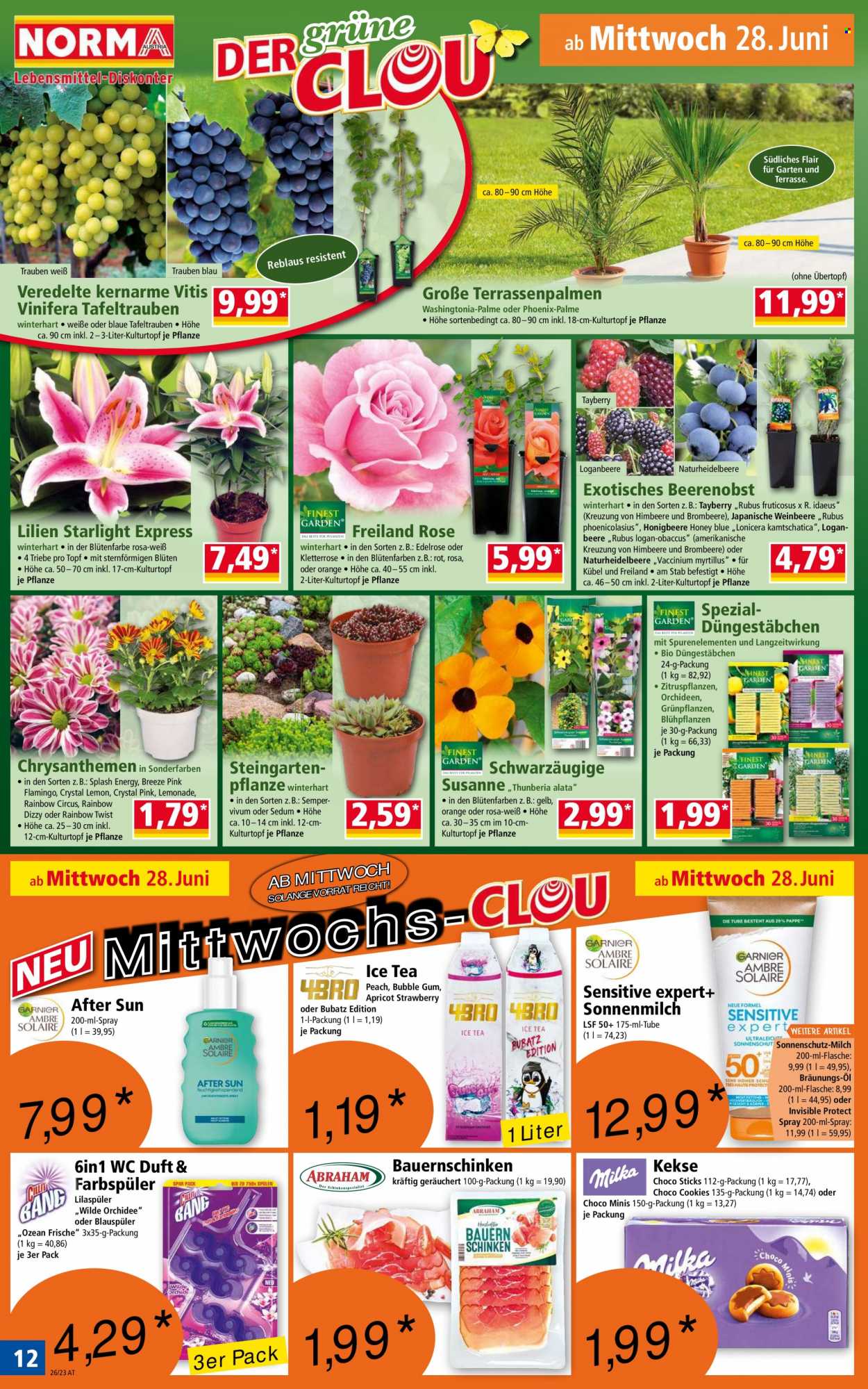 Angebote Norma - 26.6.2023 - 2.7.2023. Seite 12