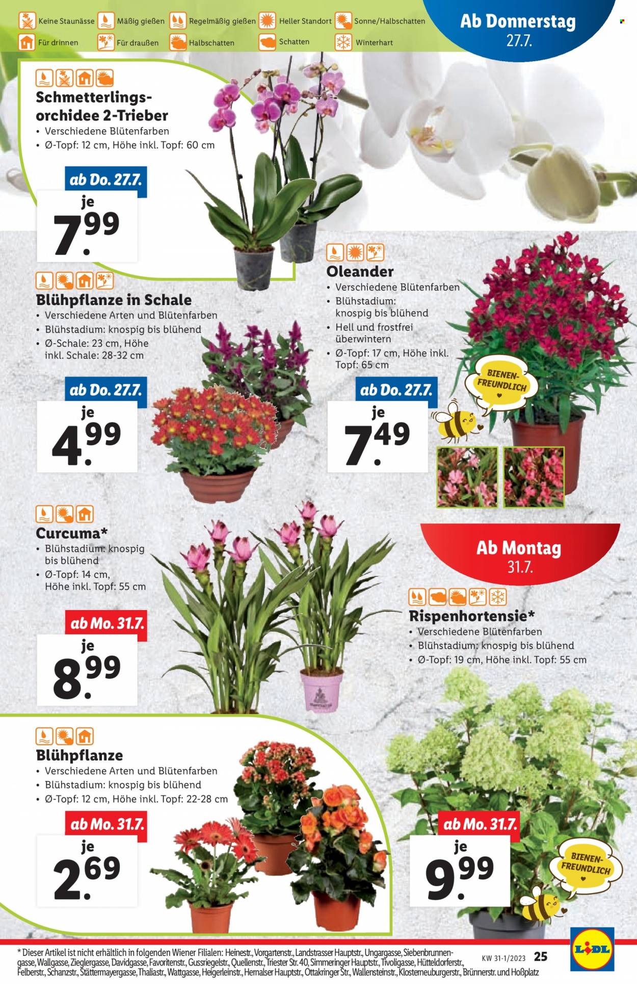 Angebote Lidl - 27.7.2023 - 2.8.2023. Seite 27