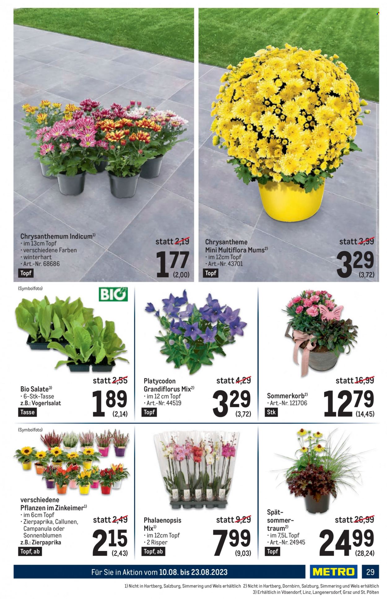 Angebote Metro - 10.8.2023 - 23.8.2023. Seite 29
