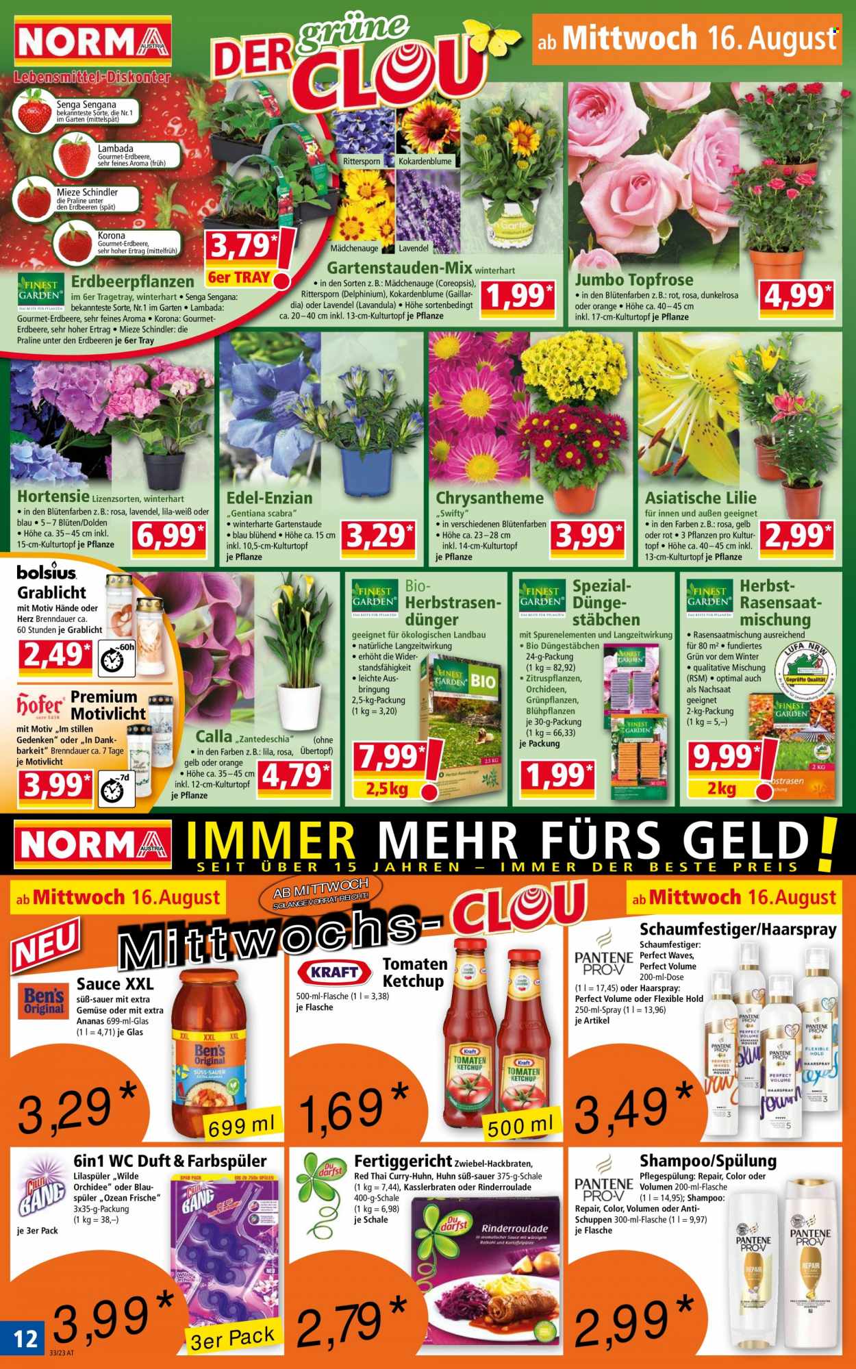 Angebote Norma - 14.8.2023 - 20.8.2023. Seite 12