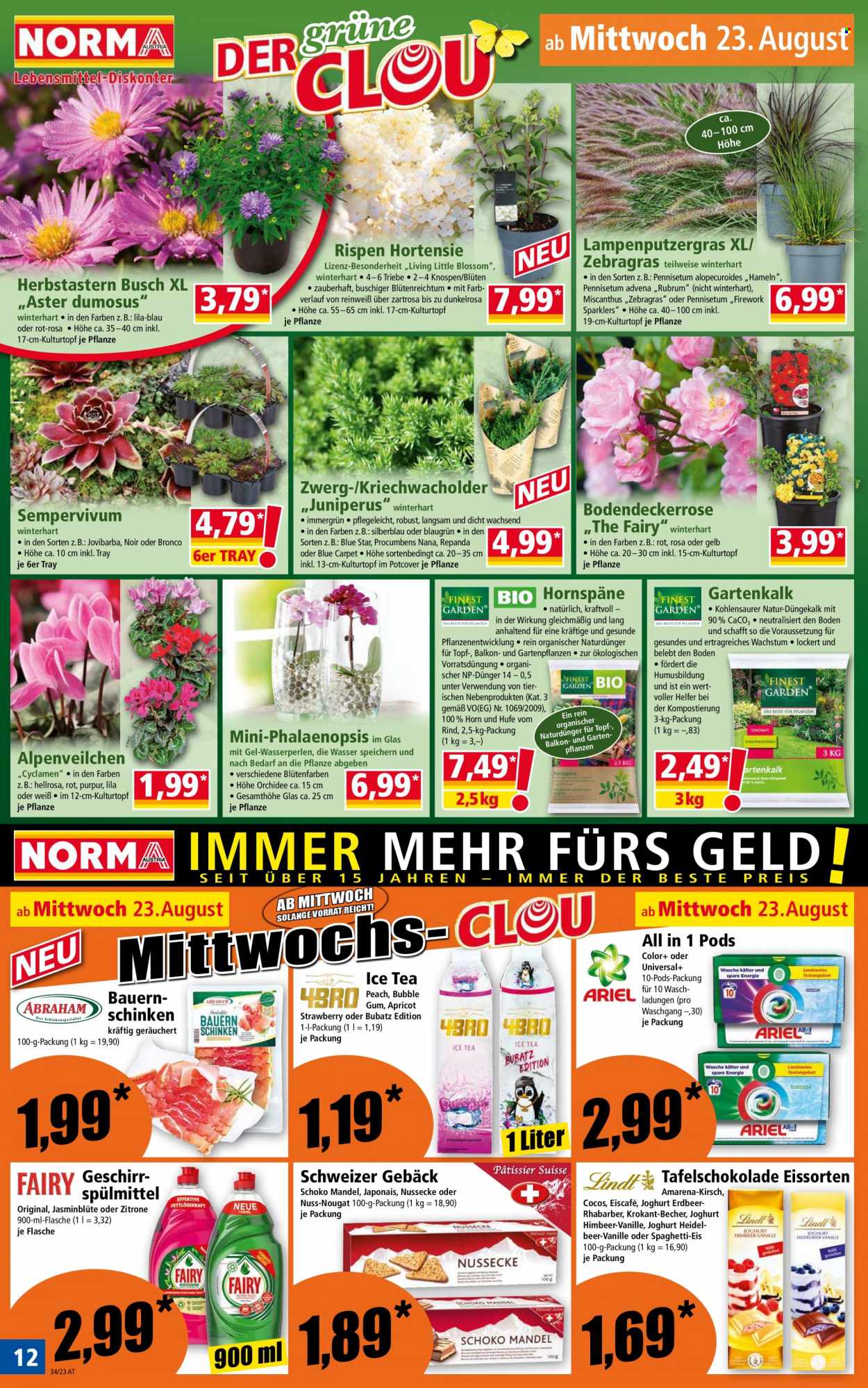 Angebote Norma - 21.8.2023 - 25.8.2023. Seite 12