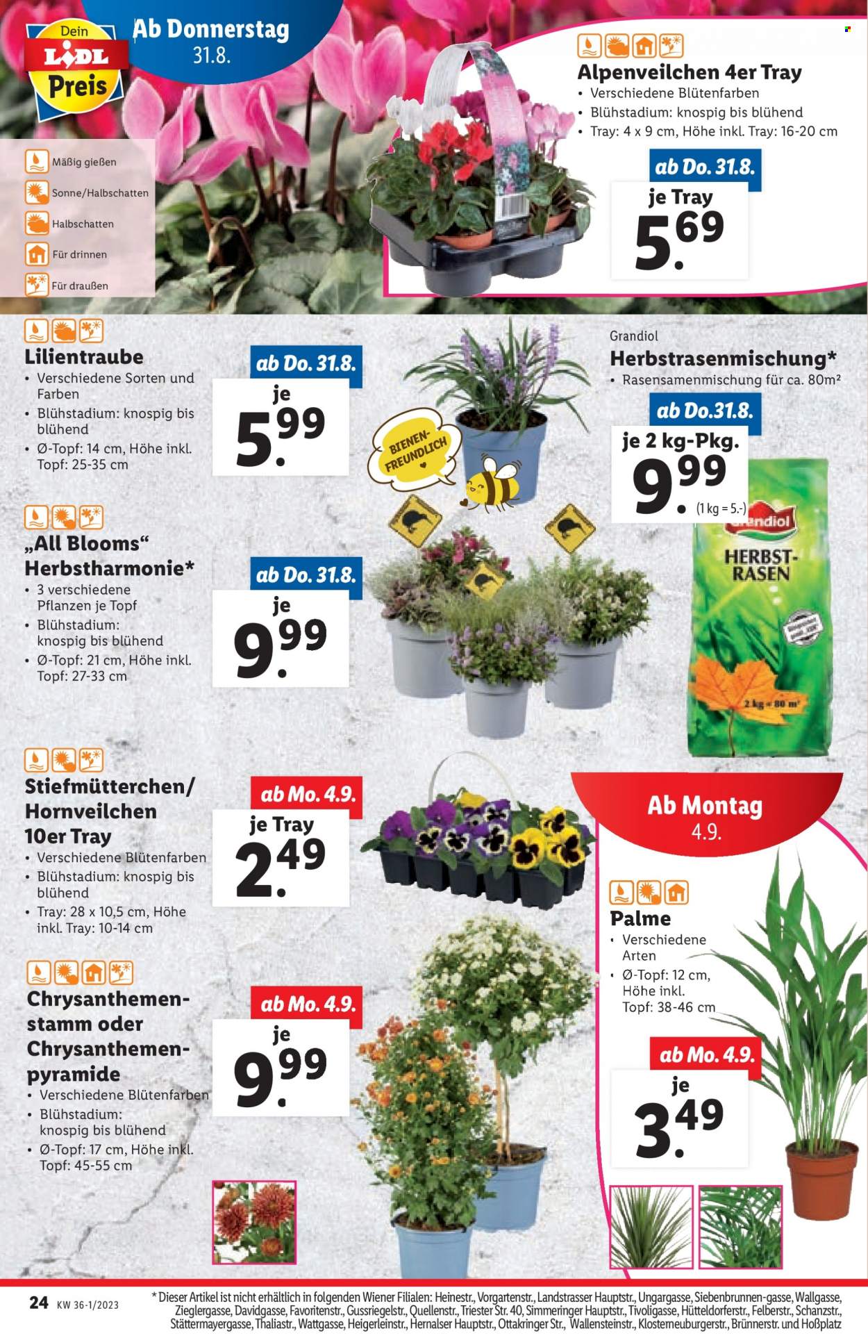 Angebote Lidl - 31.8.2023 - 2.9.2023. Seite 26