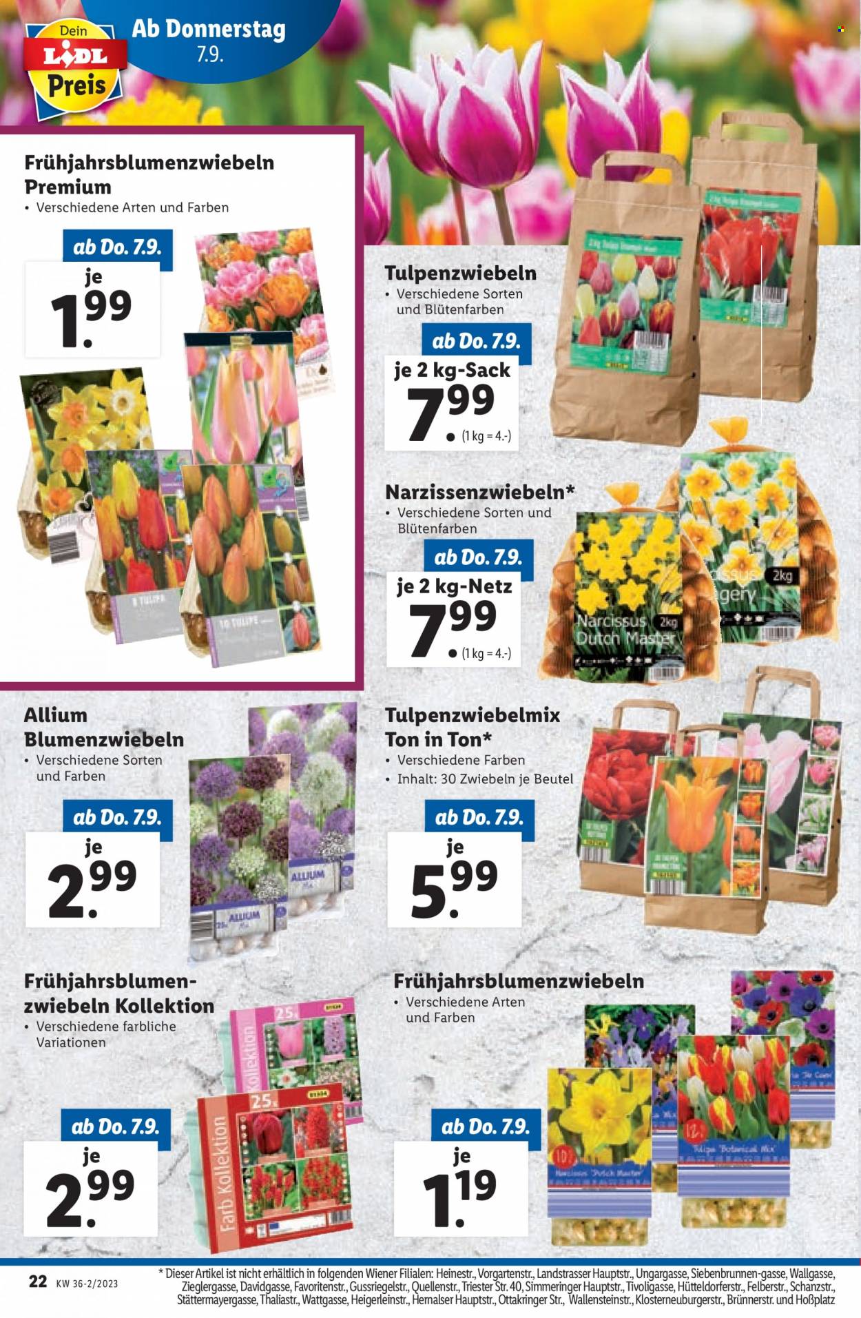 Angebote Lidl - 7.9.2023 - 9.9.2023. Seite 22