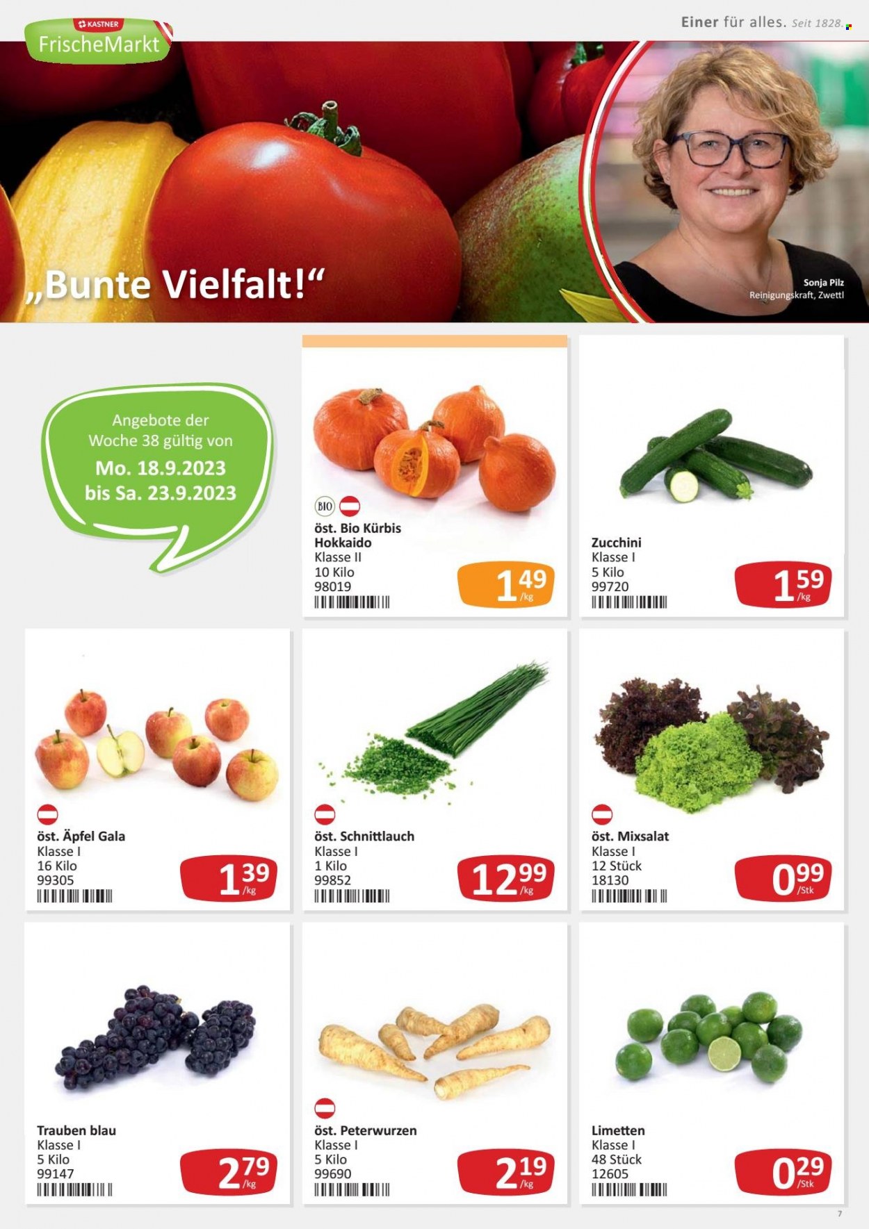Angebote KASTNER - 11.9.2023 - 23.9.2023. Seite 7