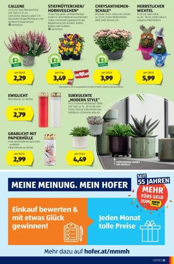 thumbnail - Stiefmütterchen