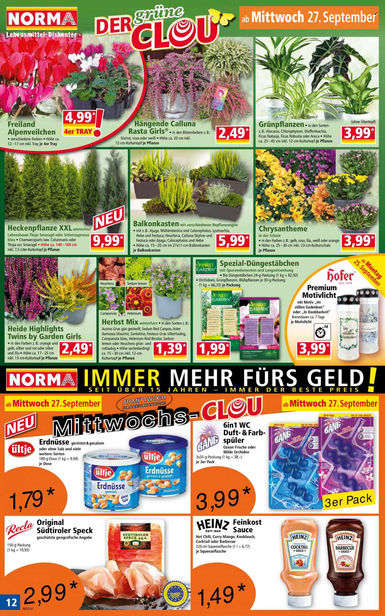 Angebote Norma - 25.9.2023 - 29.9.2023. Seite 12