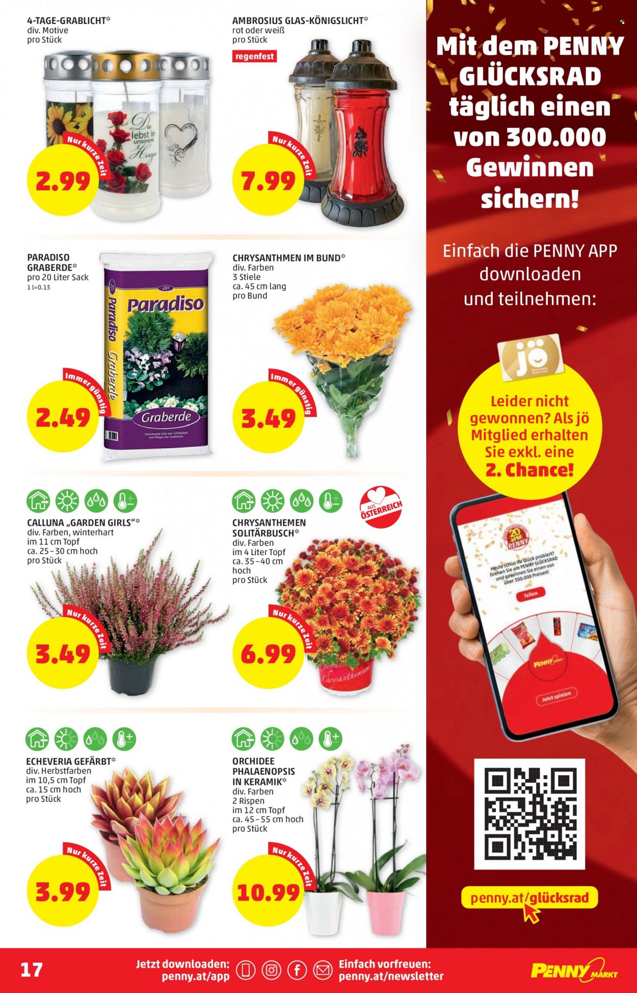 Angebote Penny - 28.9.2023 - 4.10.2023. Seite 17