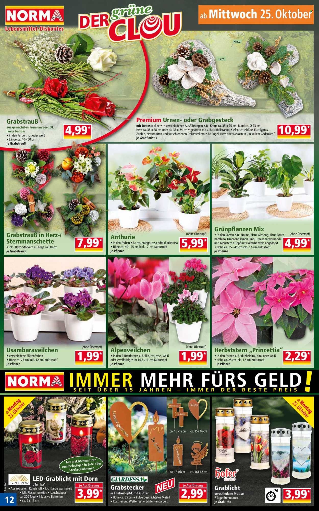 Angebote Norma - 23.10.2023 - 27.10.2023. Seite 12